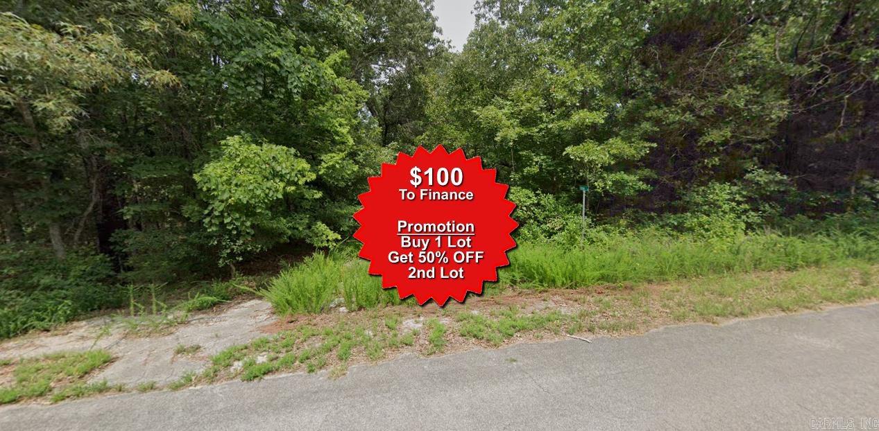 Buy one lot and get 50% off an additional lot! Owner-finance for easy terms. Cash buyers can pay by debit or credit card as well. Nice lot to develop or hold for future value. Public water and electric are available to run to property and will need septic. Owner/agent. No mobiles allowed. 600-2500 minimum build size on any other type of home, depending on subdivision. Finance is $100 down and 10 months at $99 and closing costs are included. Lots marked with red banner are part of promotion. No limit on lots. Buyer responsible for any/all taxes and lots sold "as-is". Quit claim deed conveys. Parcel ID# 215-14158-000