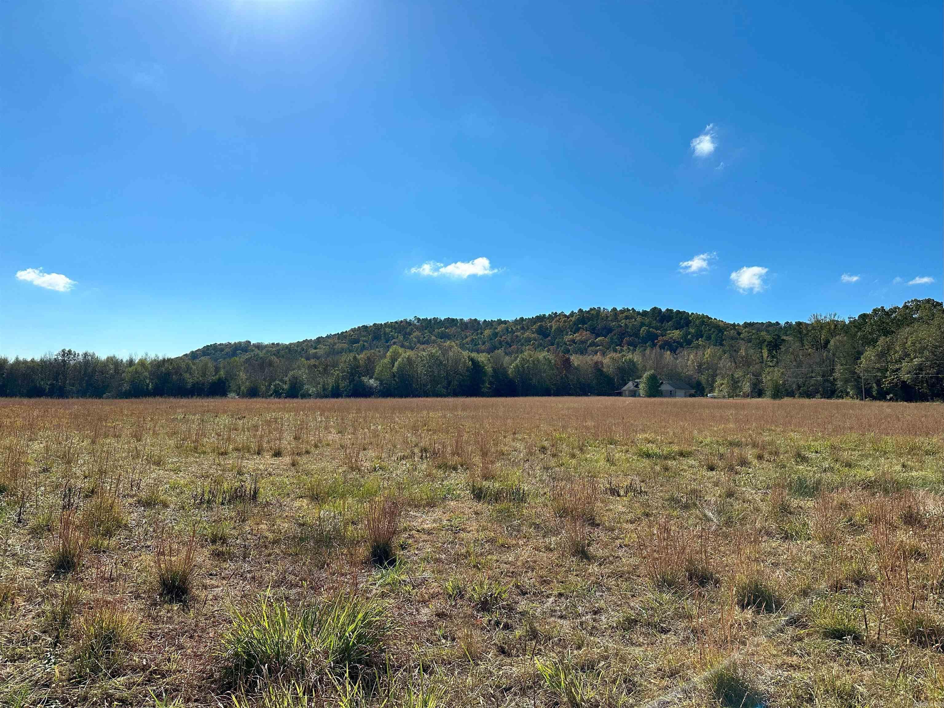 Welcome to the Foothills of the Ozarks! This beautiful surveyed 88.89 acres sits in the valley just below Linker Mountain. What a view! This property is conveniently located at the edge of the Dover city limits and is only about 8 miles north of Russellville on scenic Highway 7. With approximately 30 acres of pasture combined with almost 60 acres of timber this tract is perfect for hunting, hay production or livestock. If you are looking to build, multiple building sites with electric and water are readily available. This tract has over 1/4 mile of paved road on Peaceful Valley Road as well as 1/4 mile of private gravel road on the west side of the property. Linker Creek runs through the east side of the property. There is an active shale pit on the south side of the property that can be used as an income source. Don't let this beautiful tract get away! Call Marty today to schedule your appointment.