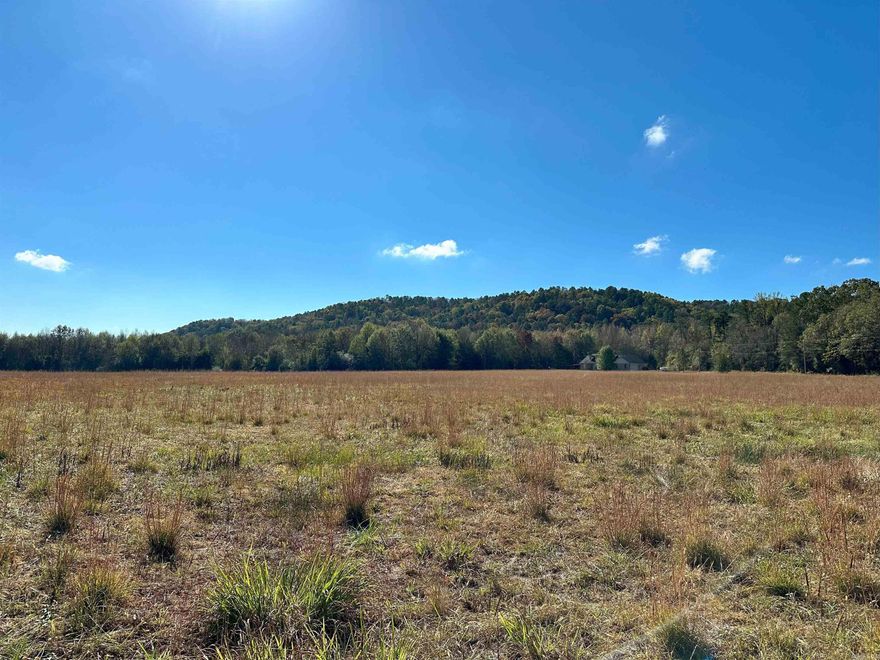 Welcome to the Foothills of the Ozarks! This beautiful surveyed 88.89 acres sits in the valley just below Linker Mountain. What a view! This property is conveniently located at the edge of the Dover city limits and is only about 8 miles north of Russellville on scenic Highway 7.   With approximately 30 acres of pasture combined with almost 60 acres of timber this tract is perfect for hunting, hay production or livestock. If you are looking to build, multiple building sites with electric and water are readily available. This tract has over 1/4 mile of paved road on Peaceful Valley Road as well as 1/4 mile of private gravel road on the west side of the property. Linker Creek runs through the east side of the property. There is an active shale pit on the south side of the property that can be used as an income source.   Don't let this beautiful tract get away! Call Marty today to schedule your appointment.
