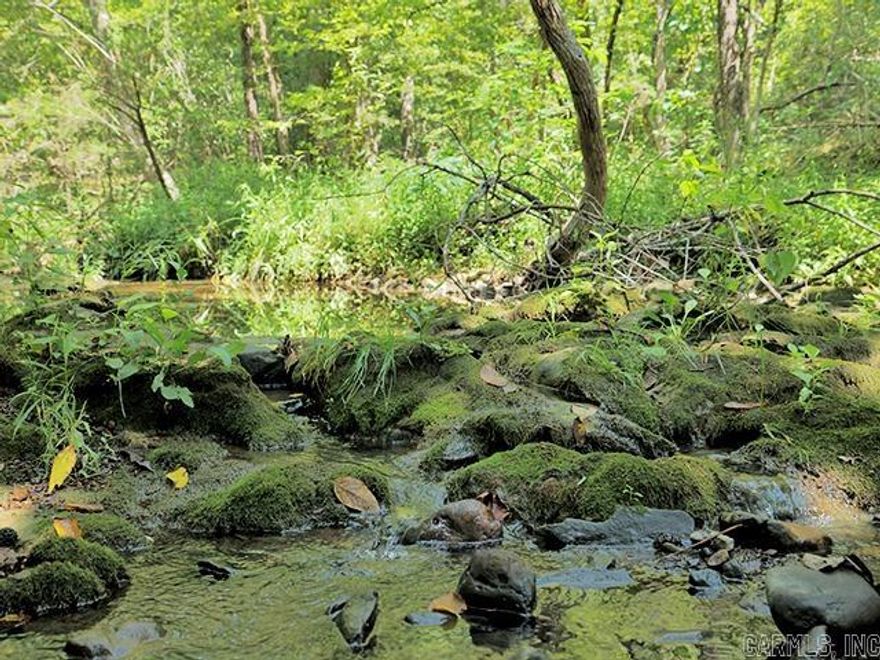 100.6 ACRES HUNTING LAND WITH YEAR-ROUND CEDAR CREEK.  Mostly wooded with marketable timber, Cedar creek running through it and has ATV trails.  This property is mostly fenced and has great hunting.  Very peaceful retreat.