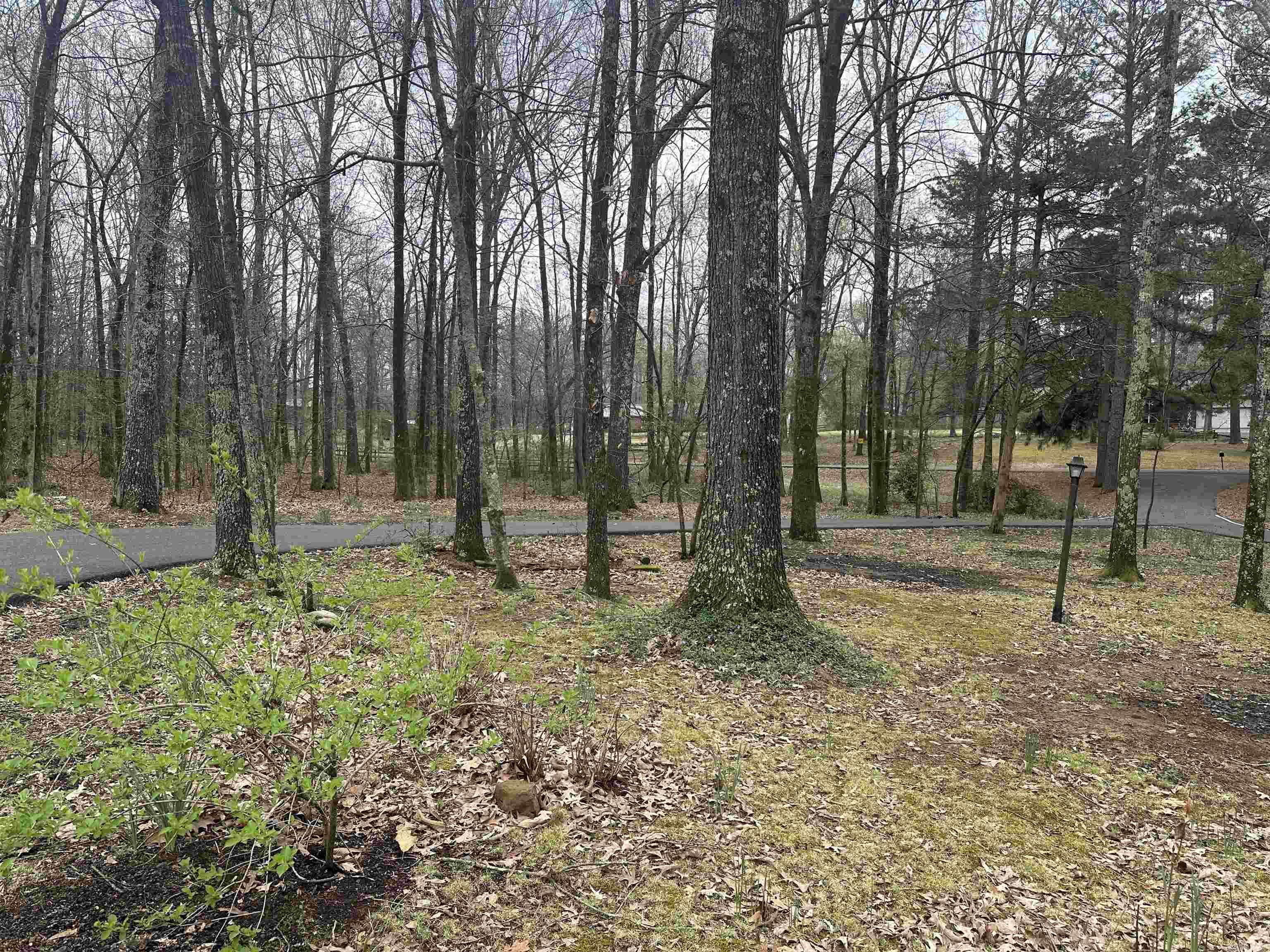 Shadow Oak - Residential