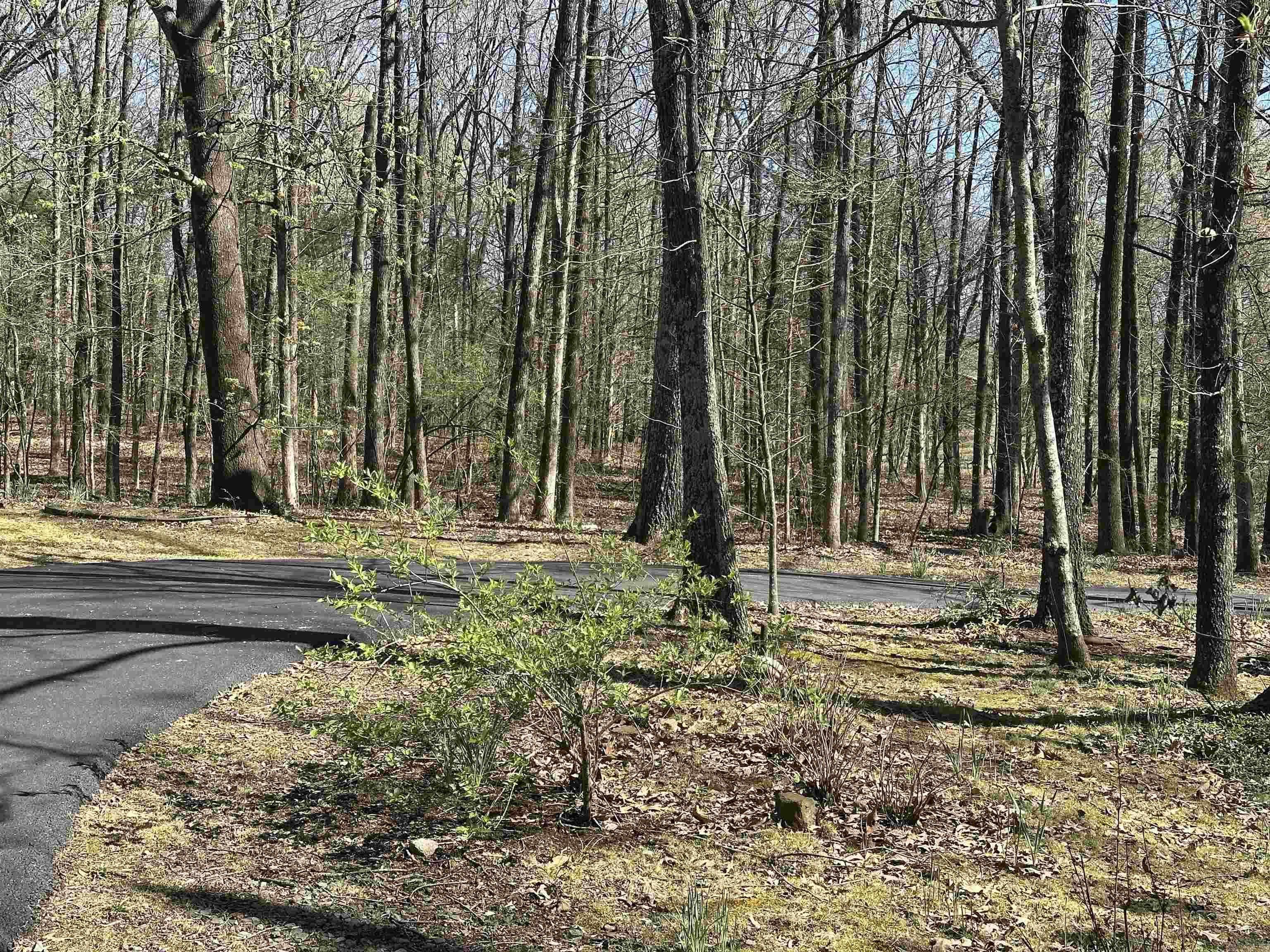 Shadow Oak - Residential