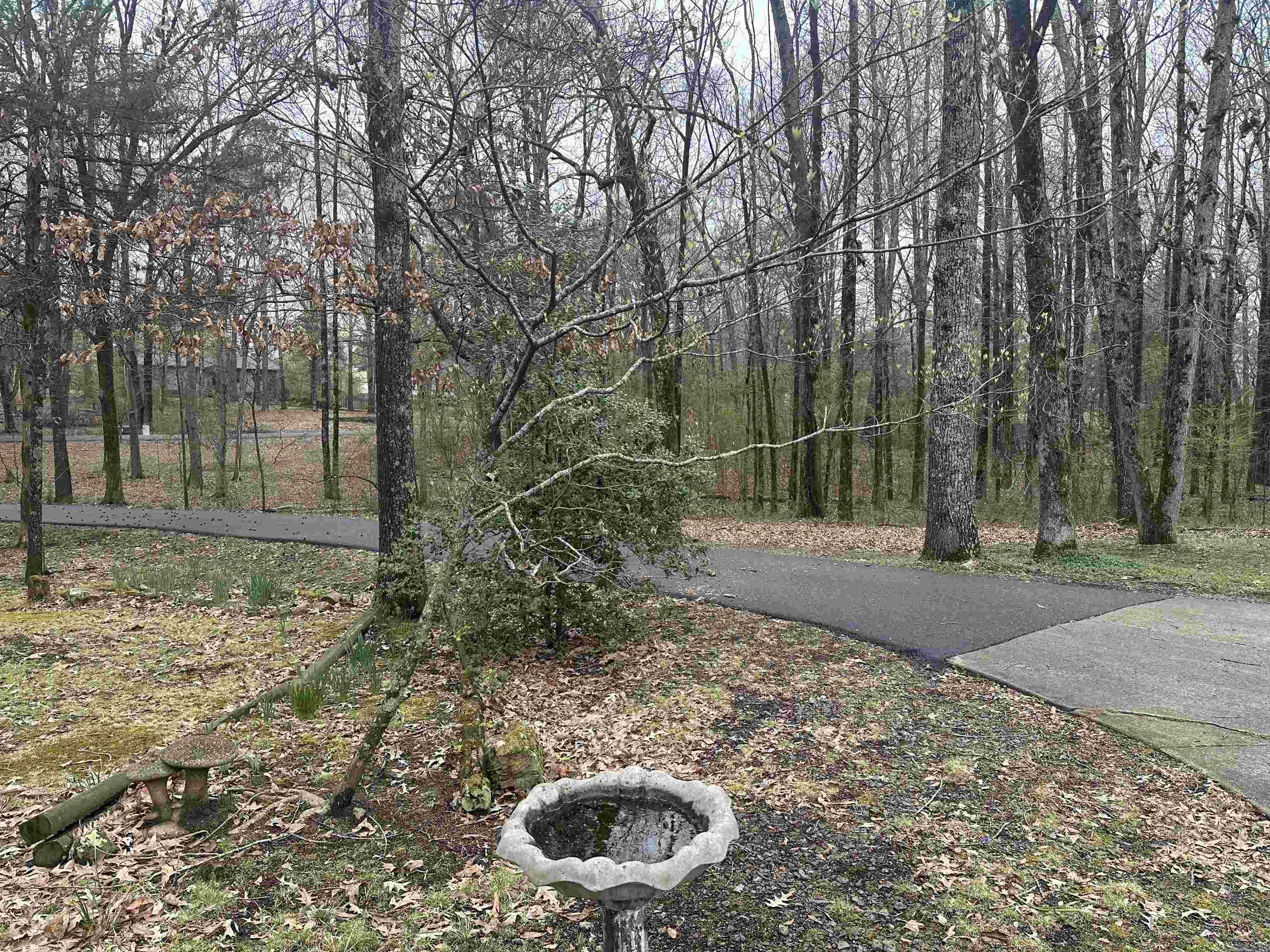 Shadow Oak - Residential