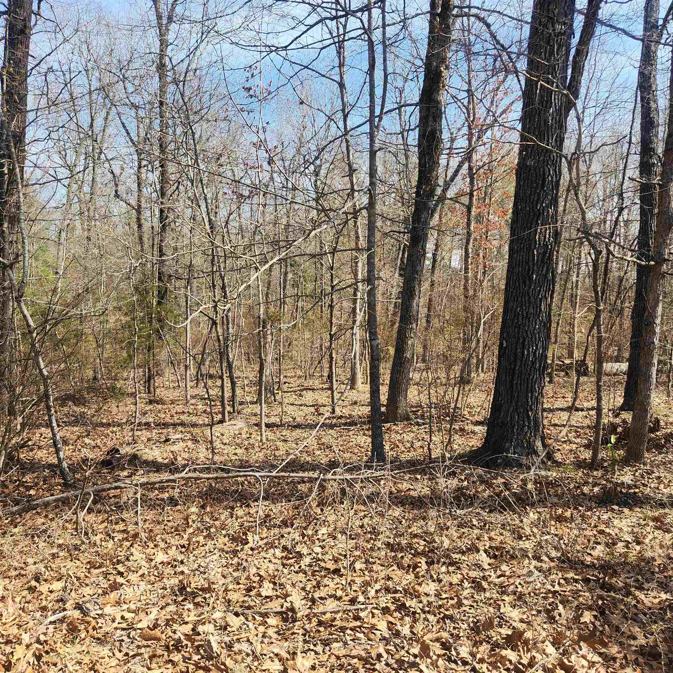 Choctaw Fifth - Land