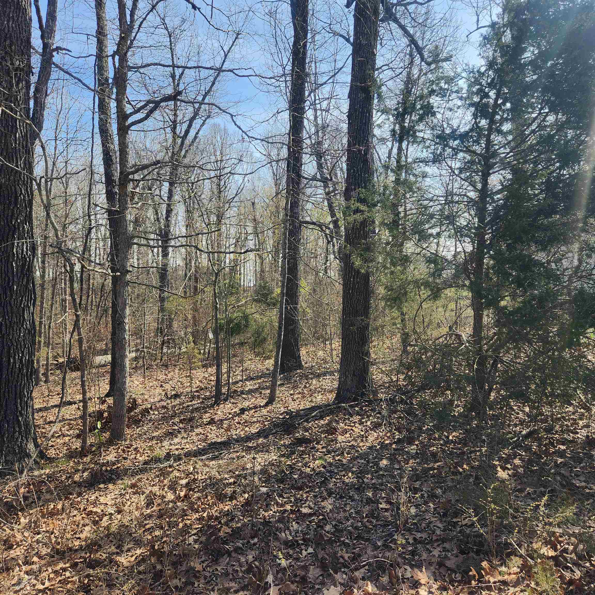 Choctaw Fifth - Land