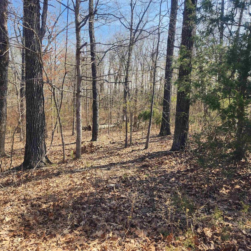 This is a fairly level lot, located in a Cul-De-Sac right up in the front of the village. Easy access to the 4-lane highway for shopping and dining. This is a nice, wooded lot just waiting for you to come pick the spot you want to build your dream home on. With property ownership comes access to all the amenities of Cherokee Village. 7 Lakes, 2 Golf courses, 2 recreational centers and don't forget about the beautiful Southfork River that meanders right through Cherokee Village.