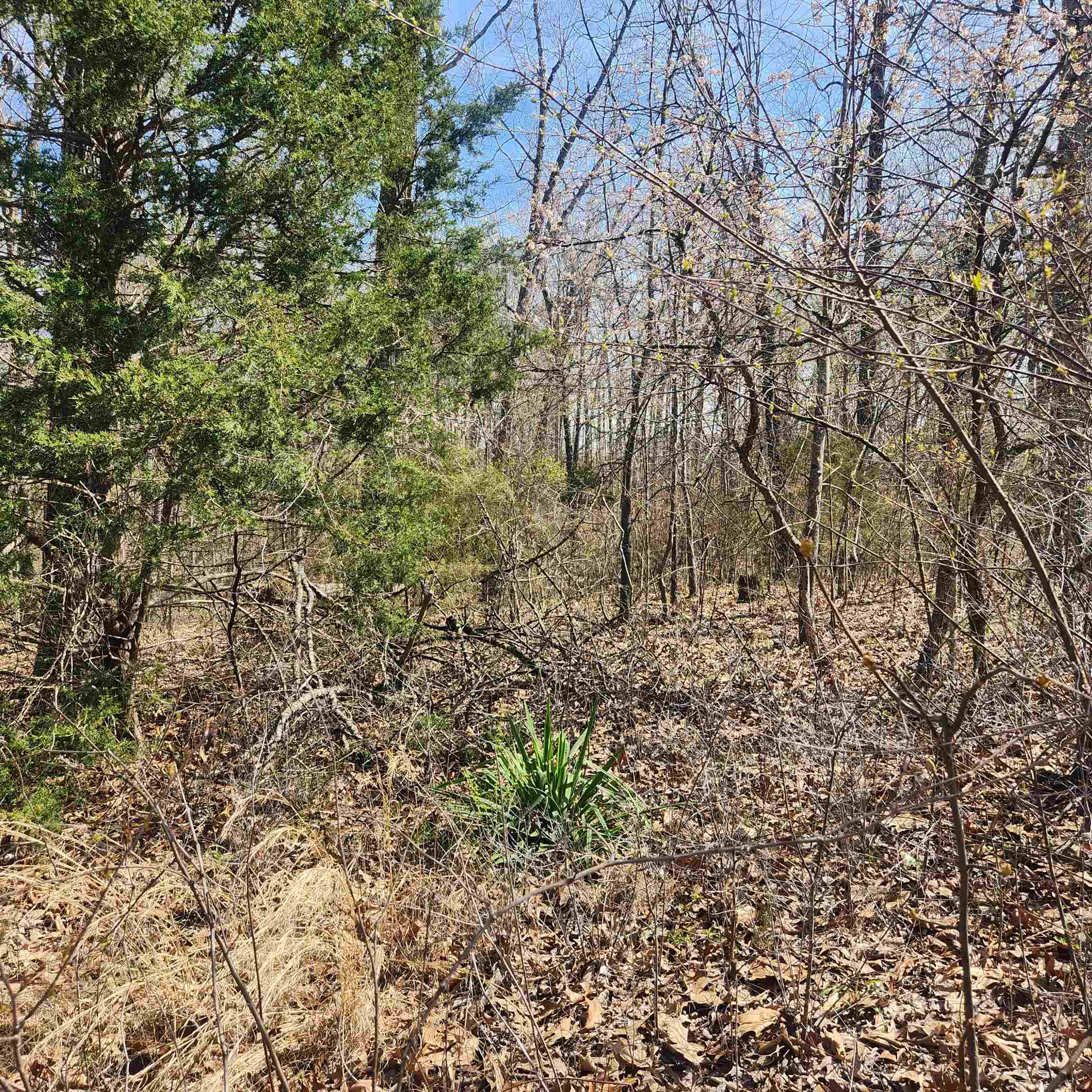 Choctaw Fifth - Land