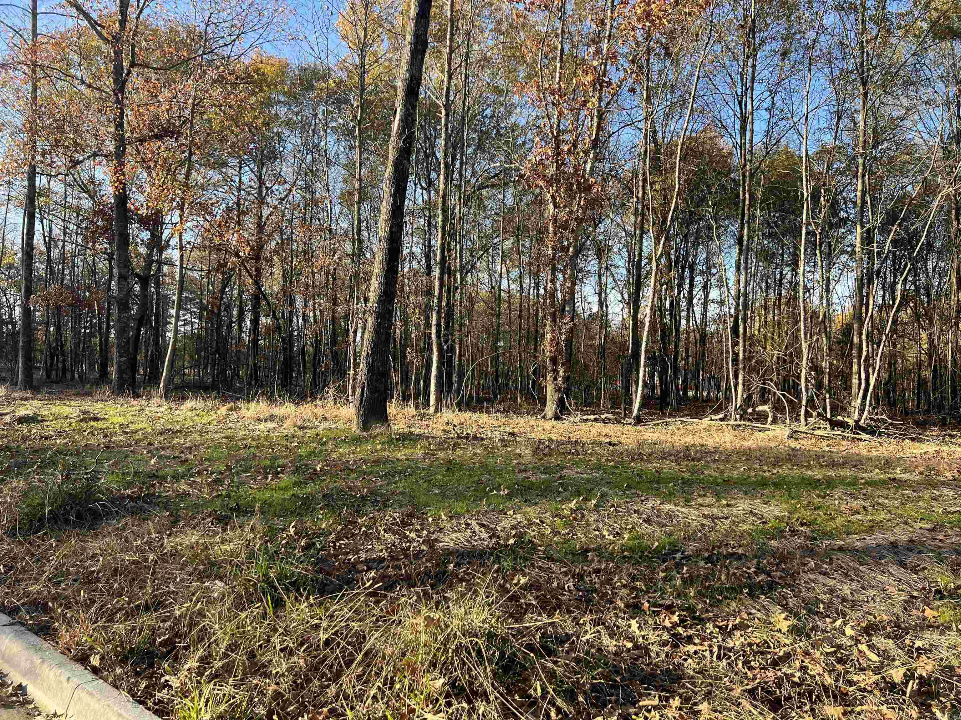 DEVOE BEND ADDITION - Land