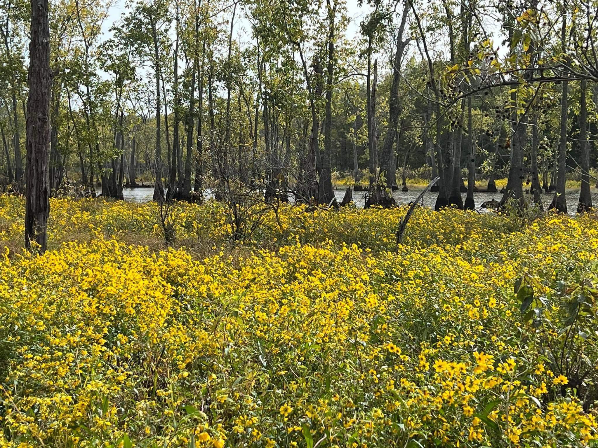 DEVOE BEND ADDITION - Land