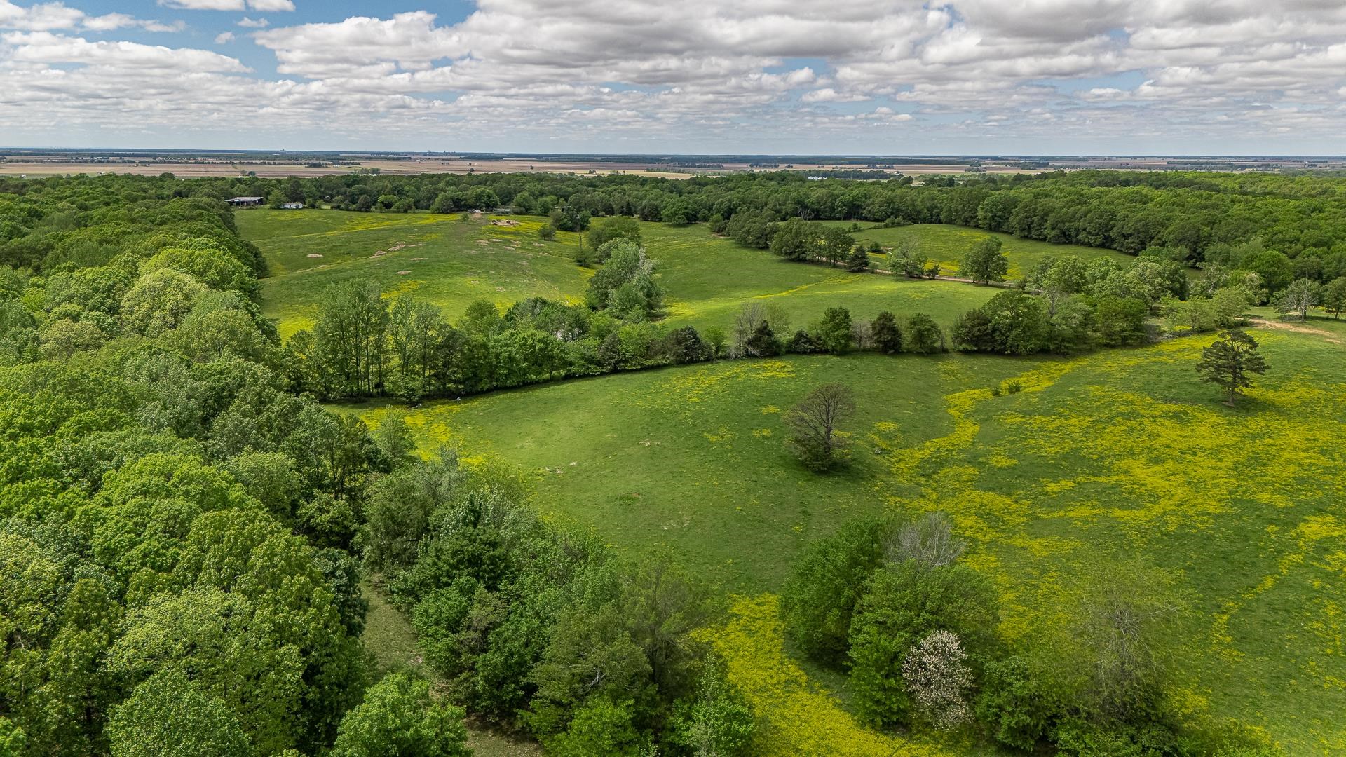 Metes & Bounds - Farm