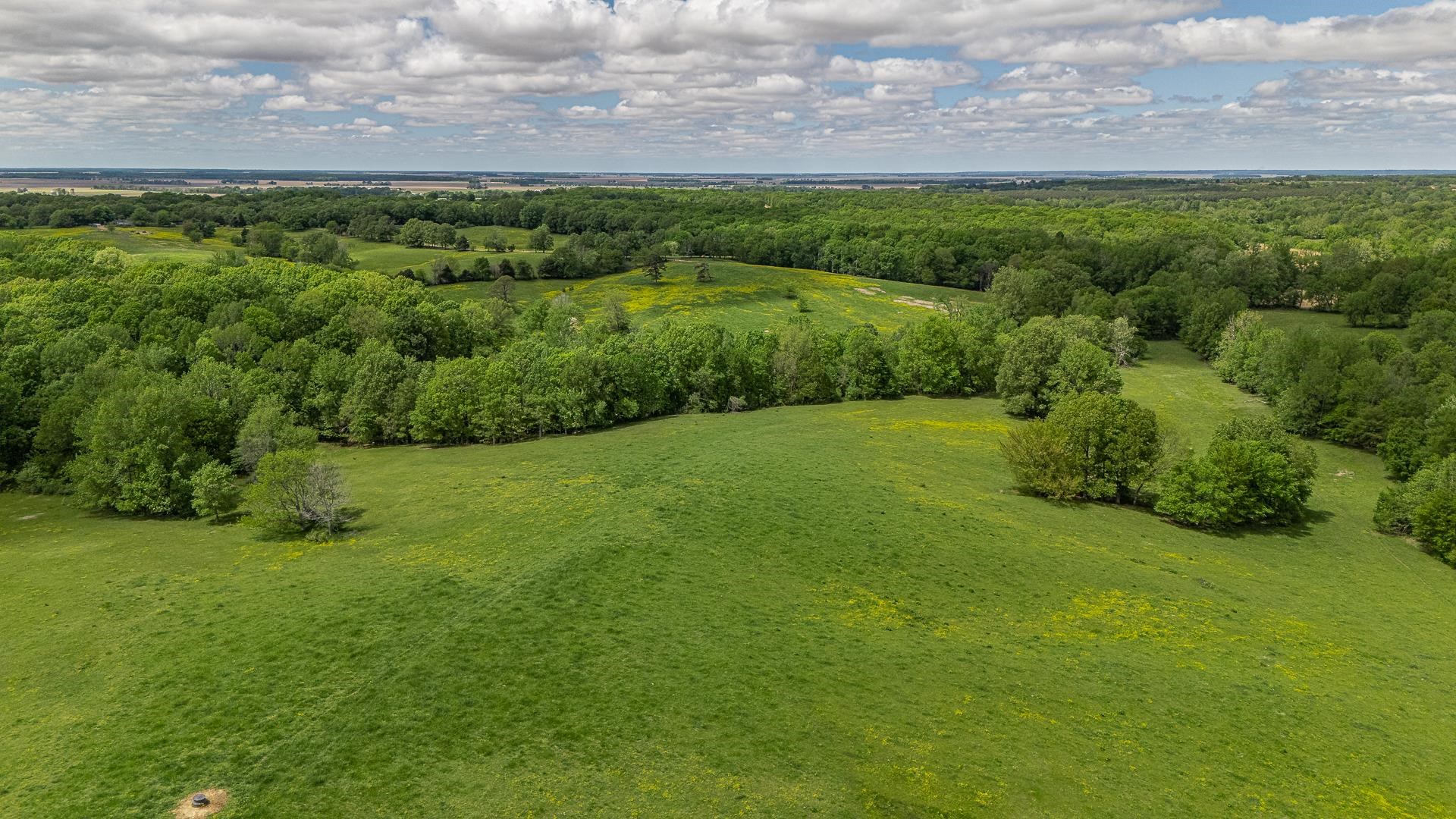 Metes & Bounds - Farm