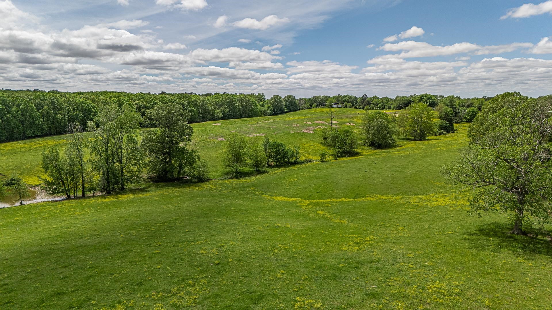 Metes & Bounds - Farm