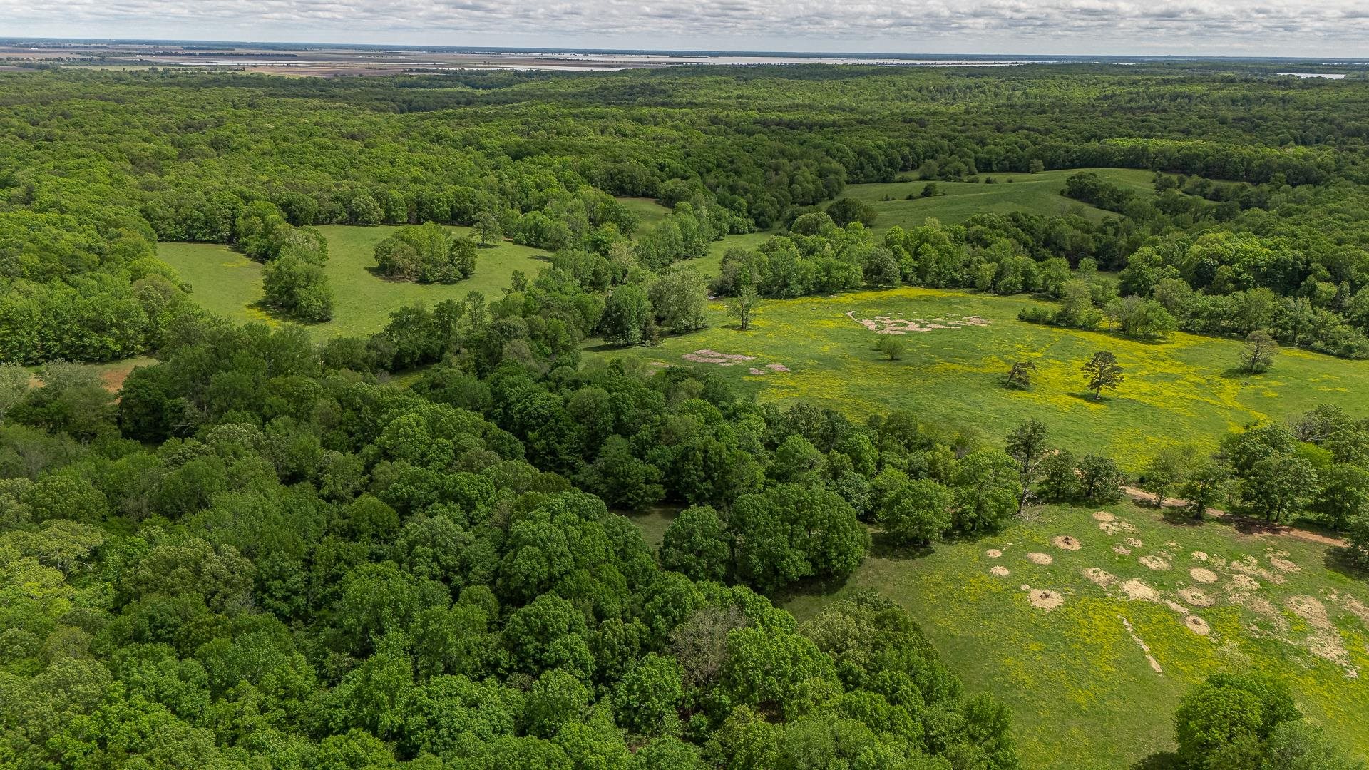 Metes & Bounds - Farm