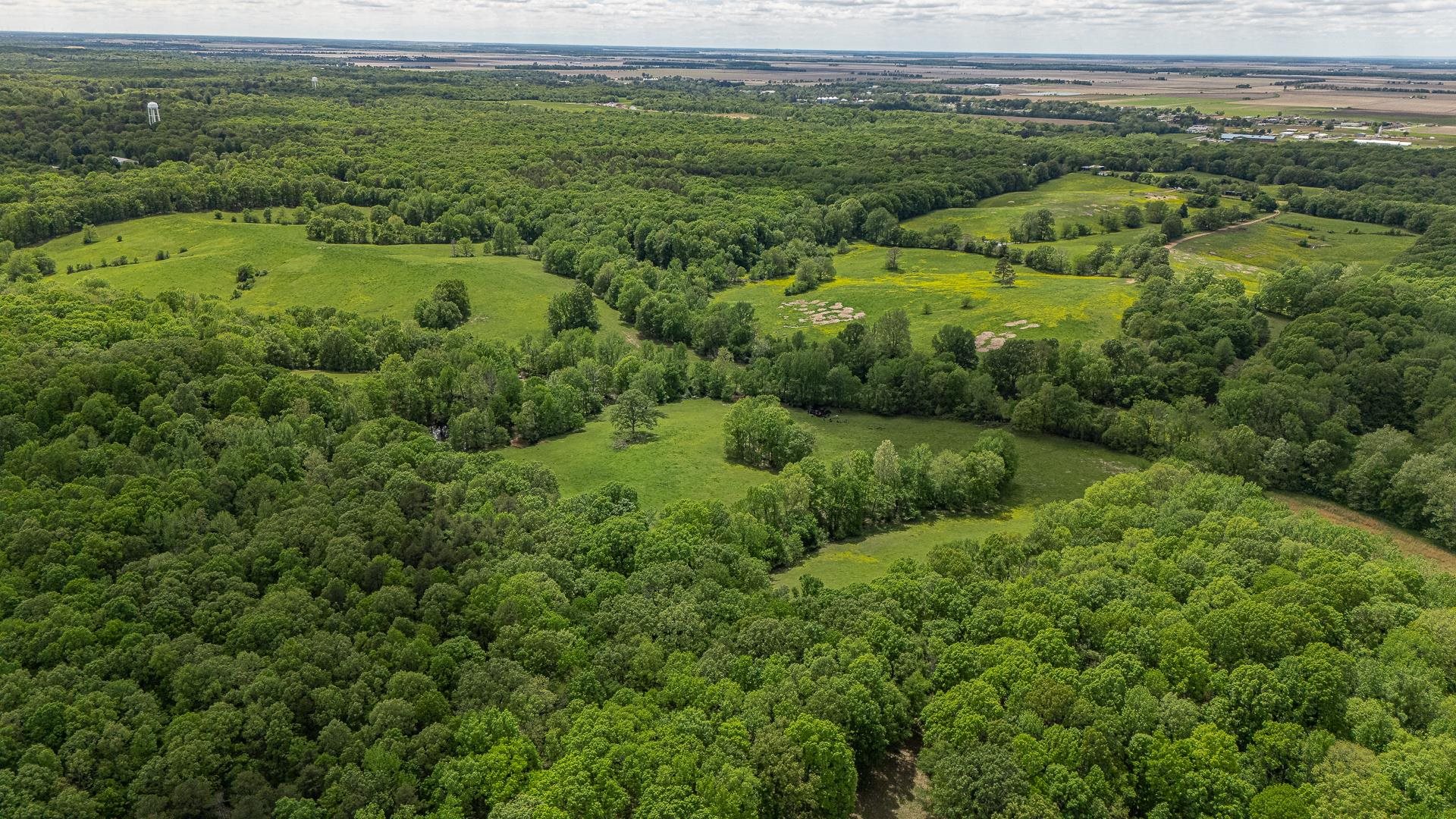 Metes & Bounds - Farm