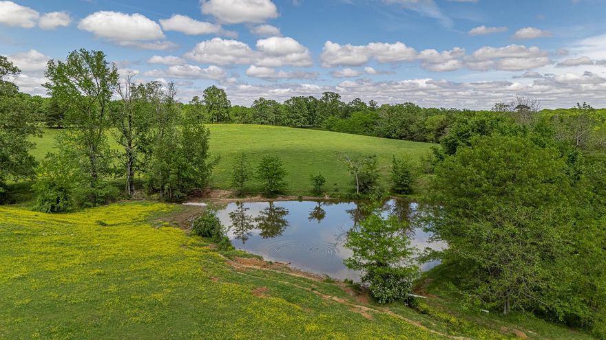 his stunning 180+/- acre parcel on Crowley's Ridge is a rare find, offering the perfect blend of beauty, versatility, and investment potential. Whether you envision a private estate, a farming venture, or a recreational haven, this property is ready for your vision.    For more information or to schedule a viewing, please contact us today! Don't miss out on the chance to own a piece of this beautiful Arkansas landscape.