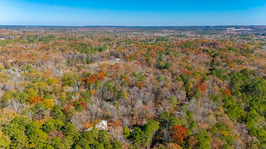 Hunting Land 110 acres