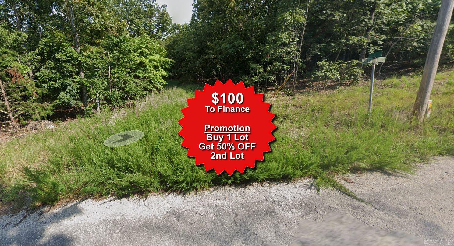 Buy one lot and get 50% off an additional lot! Owner-finance for easy terms. Cash buyers can pay by debit or credit card as well. Nice lot to develop or hold for future value. Public water and electric are available to run to property and will need septic. Owner/agent. No mobiles allowed. 300-2500 minimum build size on any other type of home, depending on subdivision. Finance is $100 down and 10 months at $99 and closing costs are included. Lots marked with red banner are part of promotion. No limit on lots. Buyer responsible for any/all taxes and lots sold "as-is". Quit claim deed conveys. Parcel ID# 230-14698-000