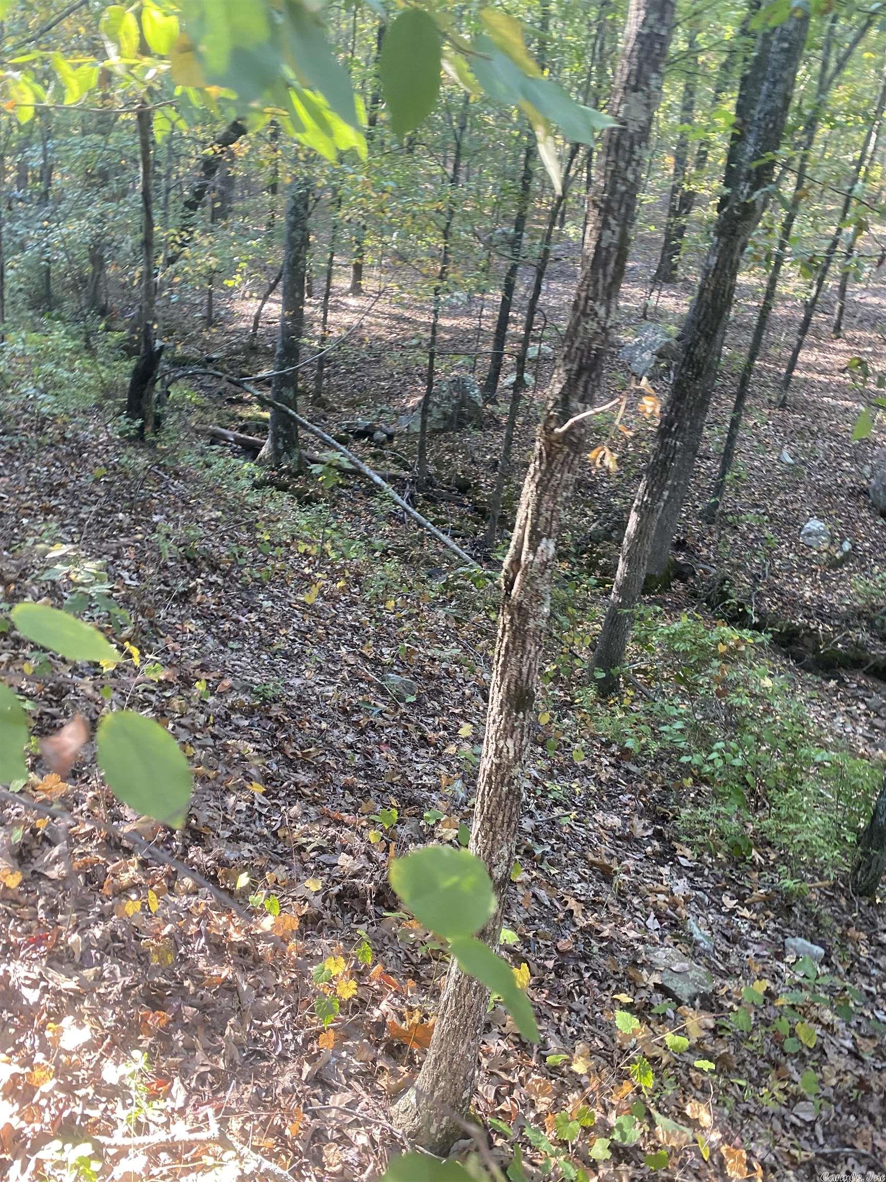 Not in Subdivision - Land