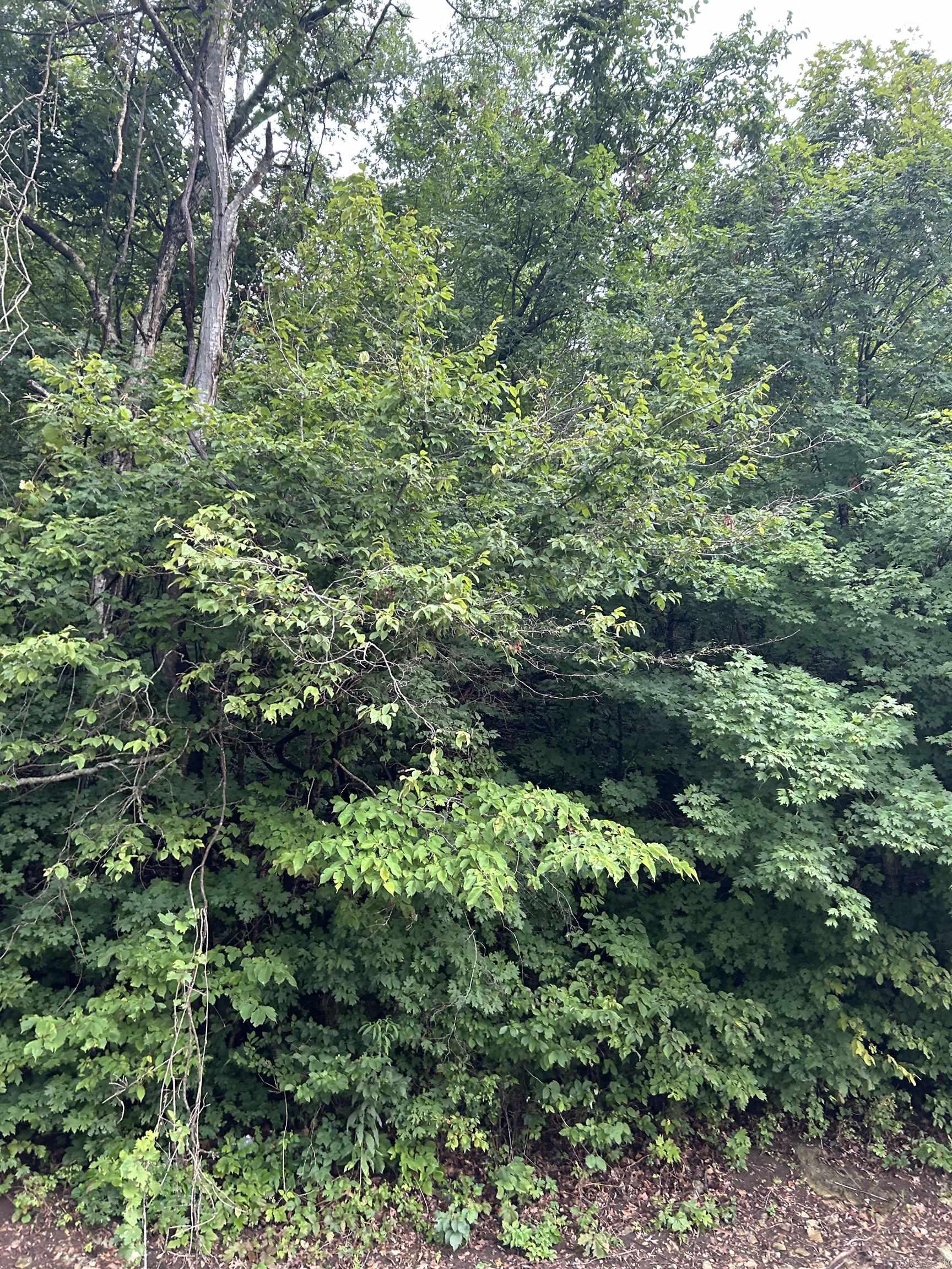 East Wahpeton - Land