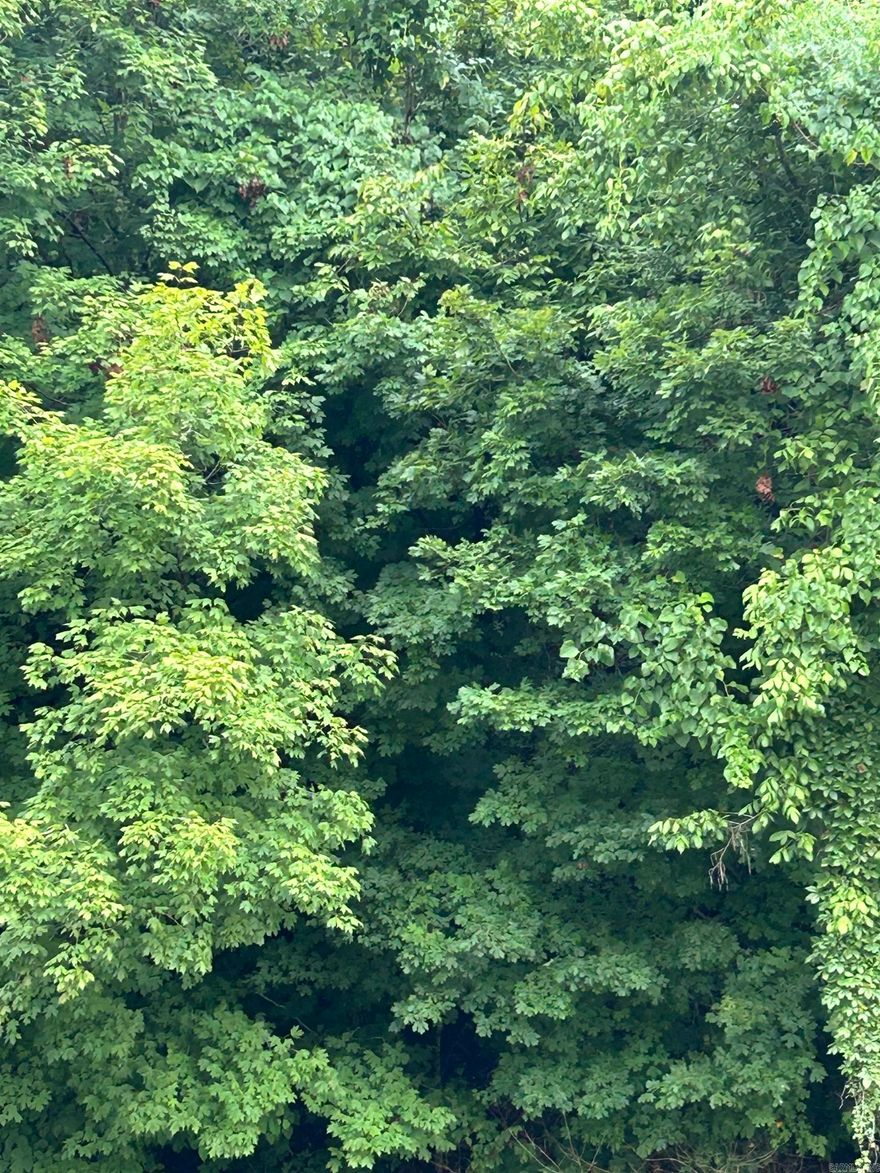 This 0.21 +/- acre lot on Buckaroo Ln in Hardy, AR, located less than 1 mile from the Spring River, is ideal for a campsite or recreational retreat. Nestled in Sharp County, this property offers a serene setting with easy access and great potential. Enjoy outdoor activities and the natural charm of the area, while still being close to local amenities. Create your perfect getaway or investment opportunity on this versatile lot. Don’t miss out on this unique chance to own a piece of Hardy! Owner Financing is available