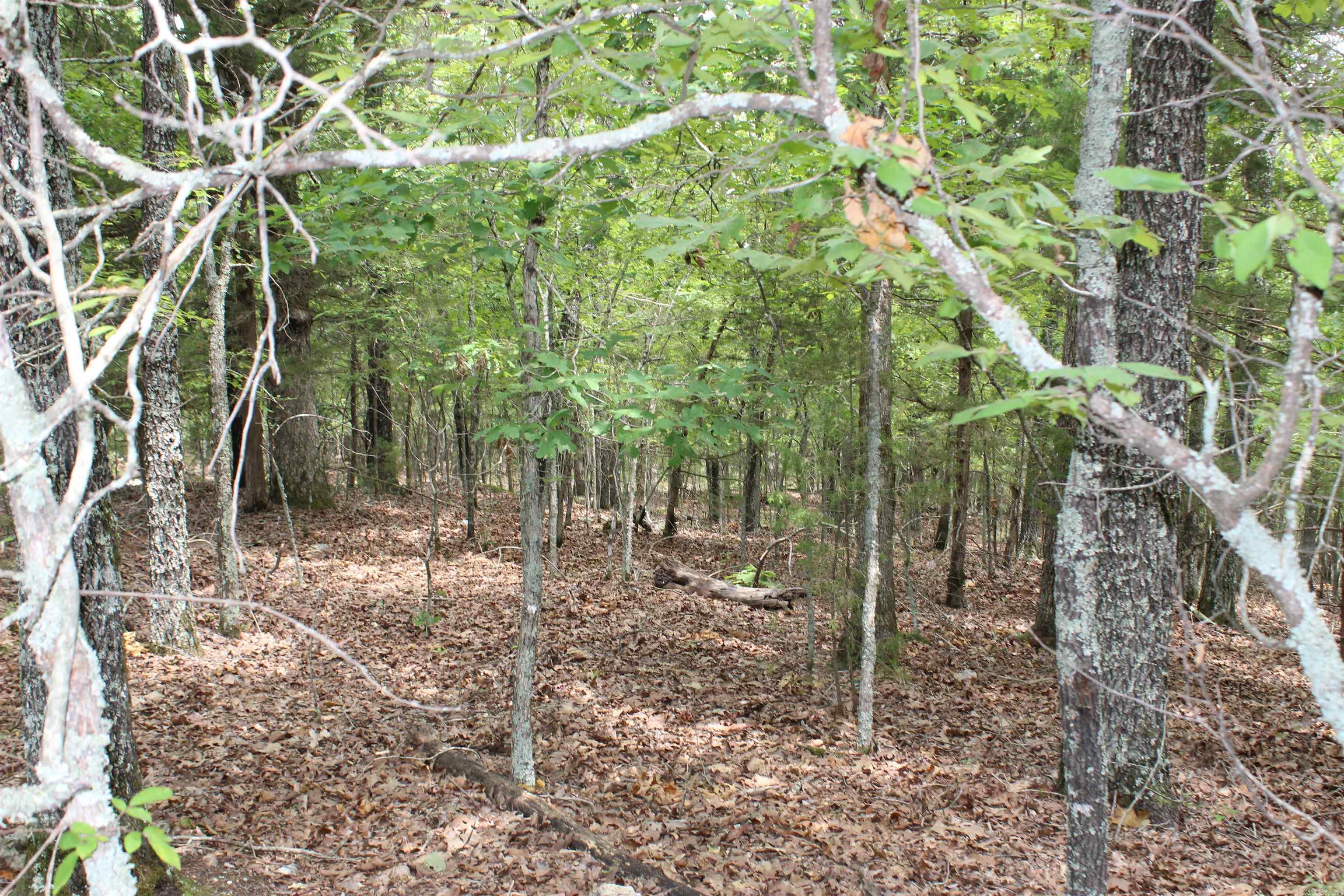 Not in Subdivision - Land