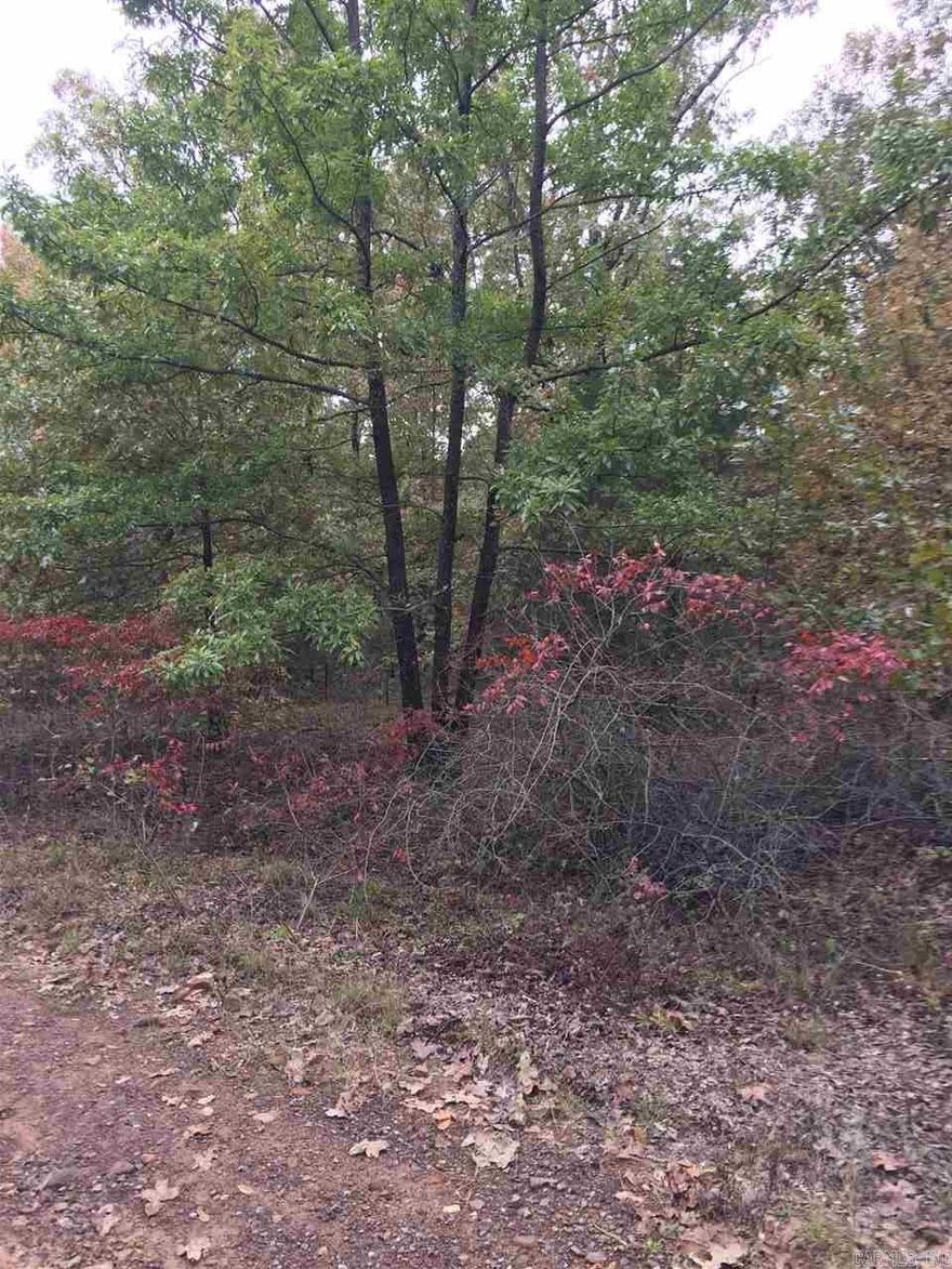 Nice lot, great area.