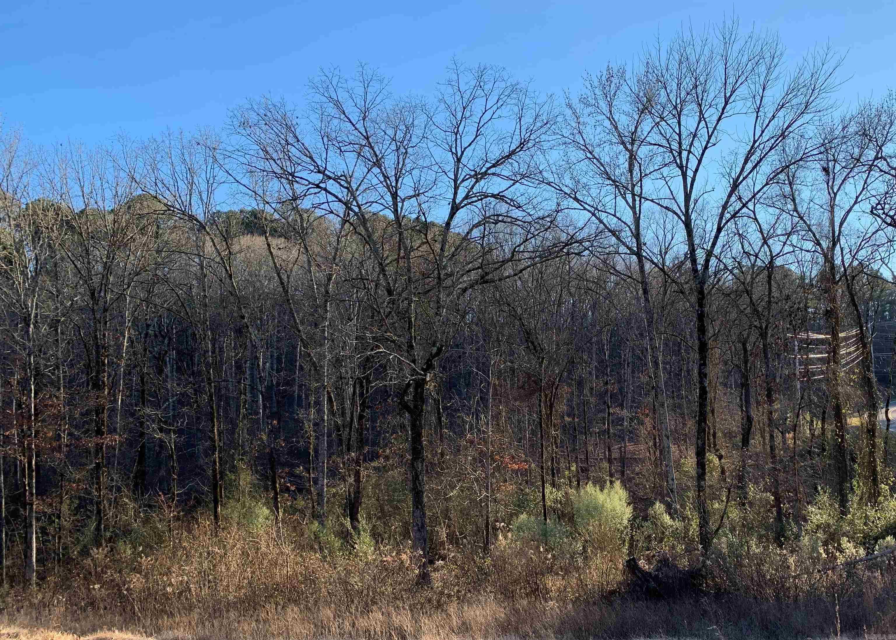 North View - Land