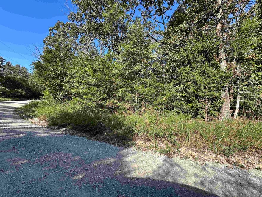 Discover 6.36 acres M/L of prime Ozark Mountain land, split across two adjoining lots in the coveted Round Mountain Estates subdivision. Nestled in the heart of Marion County, this property offers a peaceful retreat with gently rolling terrain, mature trees, and multiple potential building sites. Whether you're dreaming of a private homestead, a vacation getaway, or an investment in land, this acreage delivers. Just minutes from the world-renowned White River and Bull Shoals Lake, outdoor enthusiasts will love the proximity to fishing, boating, and hiking. Utilities available nearby. Light restrictions preserve the natural beauty and charm of the area while allowing flexibility for your vision. Conveniently located near Flippin and a short drive to Mountain Home, this property combines rural tranquility with easy access to amenities.