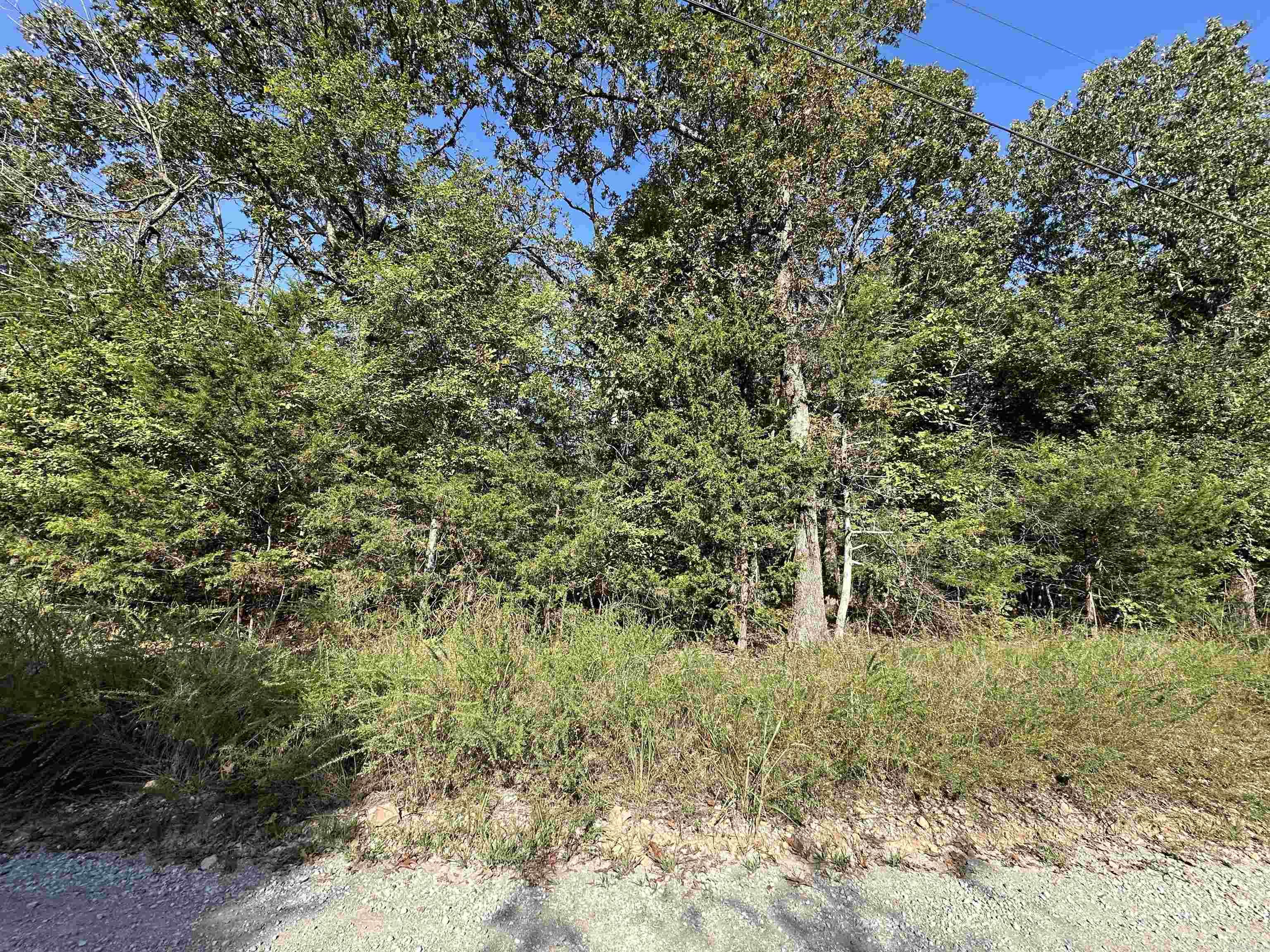 Round Mountain Estates - Land