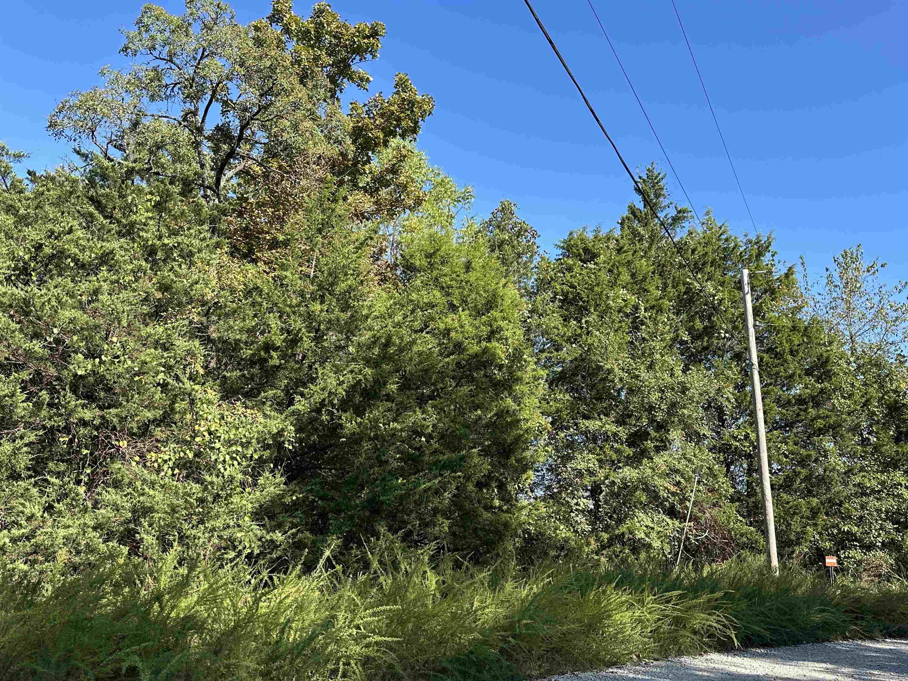 Round Mountain Estates - Land