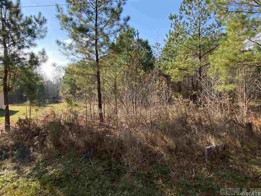 Come see this beautiful, wooded 8.77 acres and build your dream home.  Land is level and ready for you to make it your home place.  Utilities are at the street.  Don't miss out on this one!