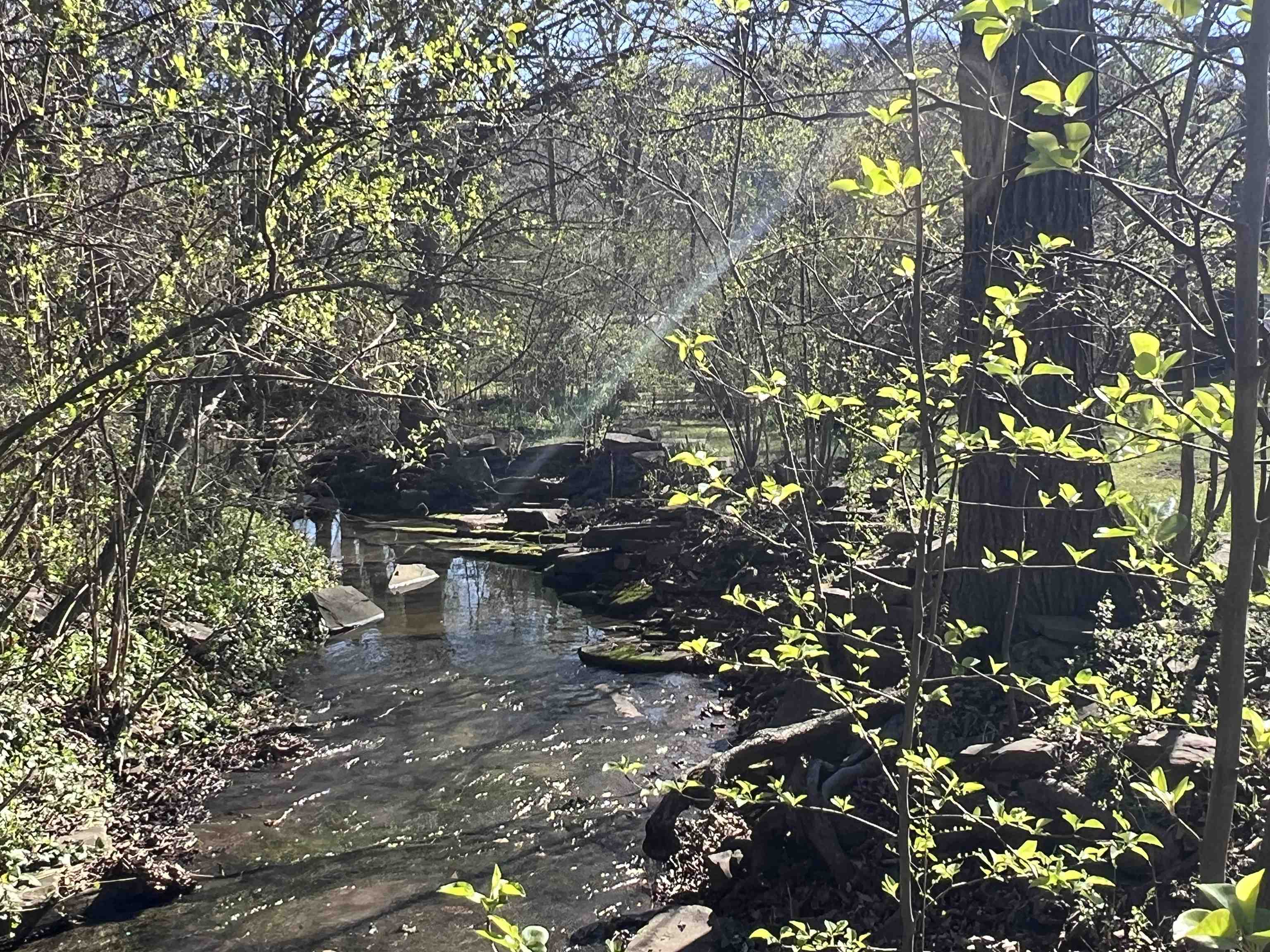 WESTBROOK - Residential