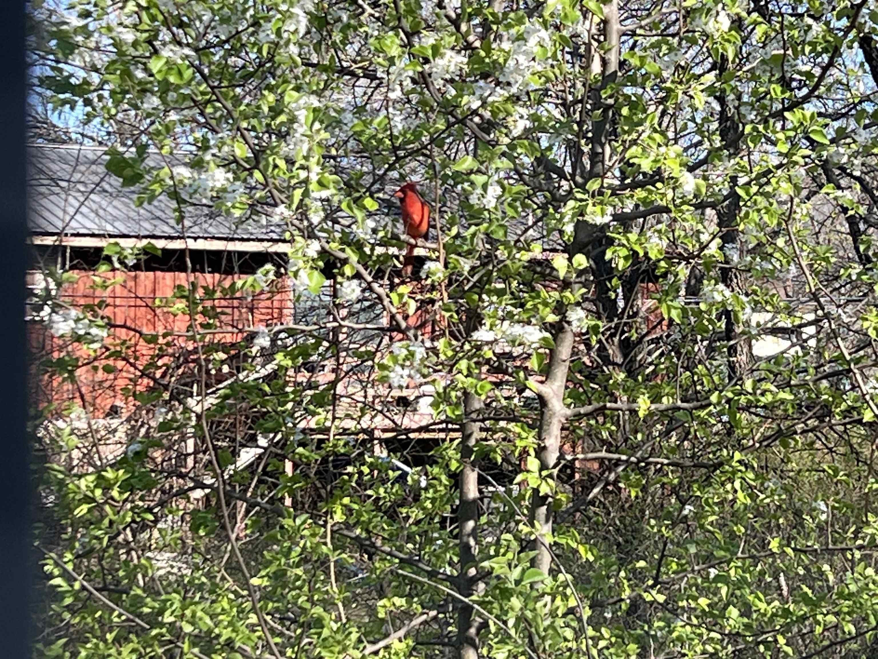 WESTBROOK - Residential