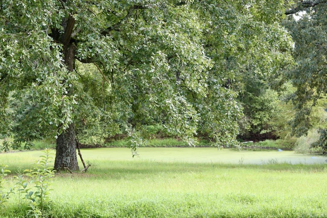 STRAWBERRY ORIGINAL - Residential