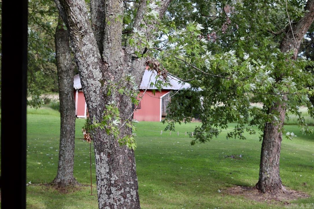 STRAWBERRY ORIGINAL - Residential