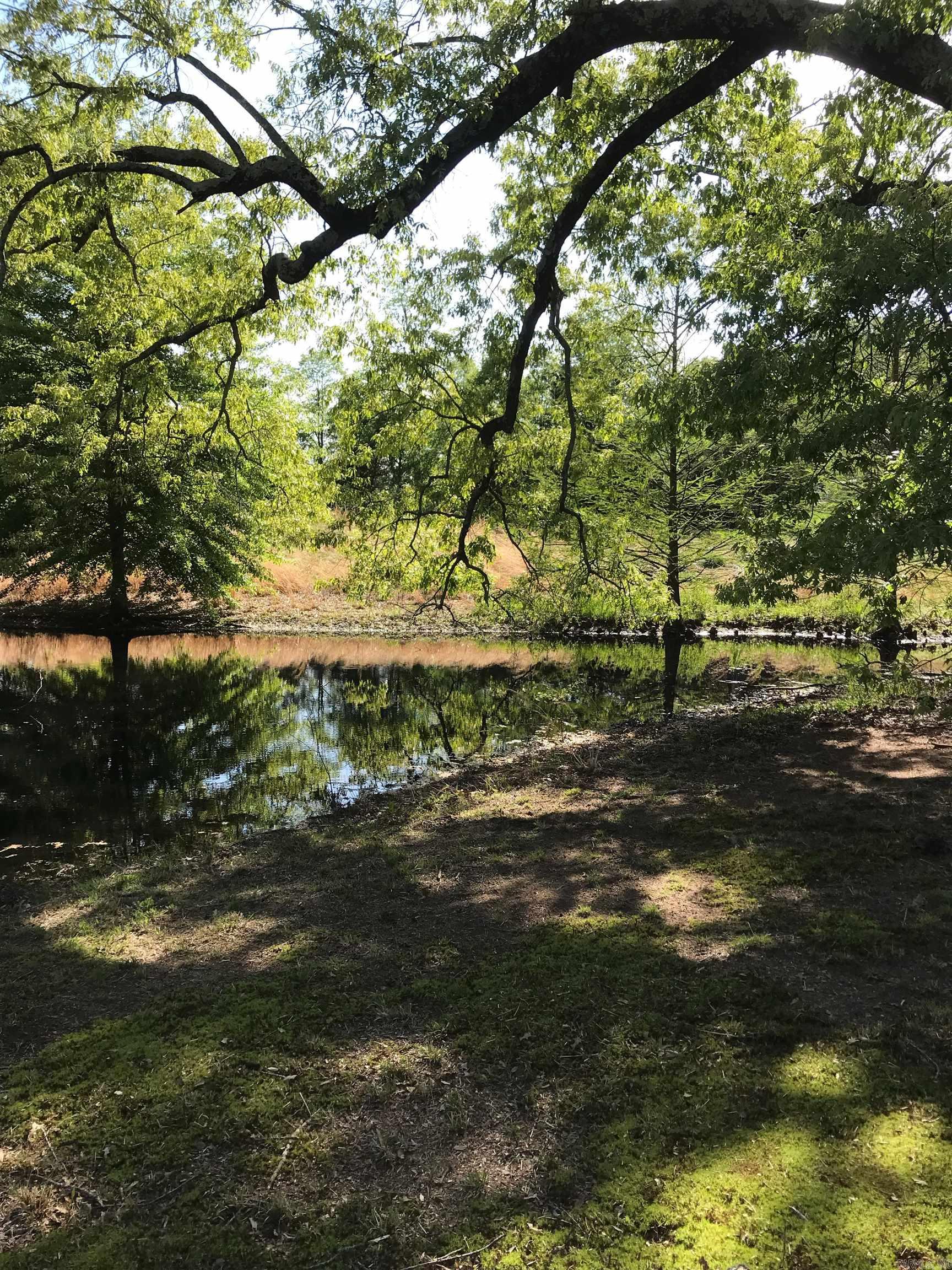 STRAWBERRY ORIGINAL - Residential