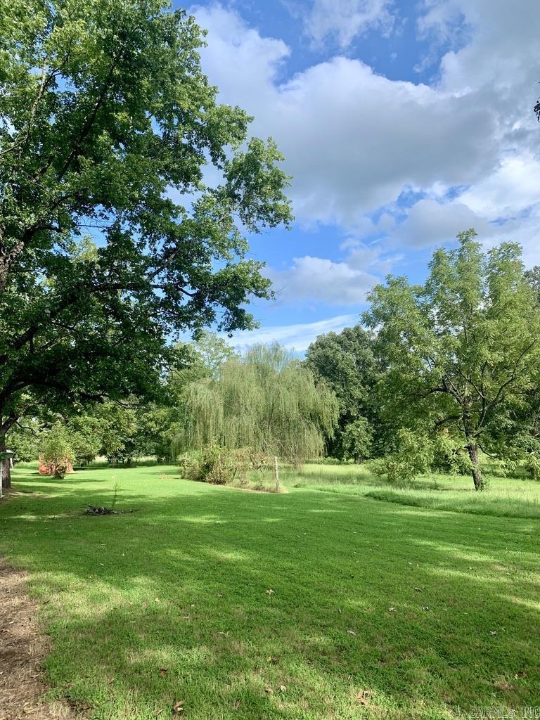 STRAWBERRY ORIGINAL - Residential