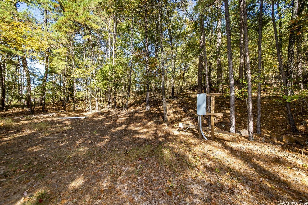 Shirley Original - Land