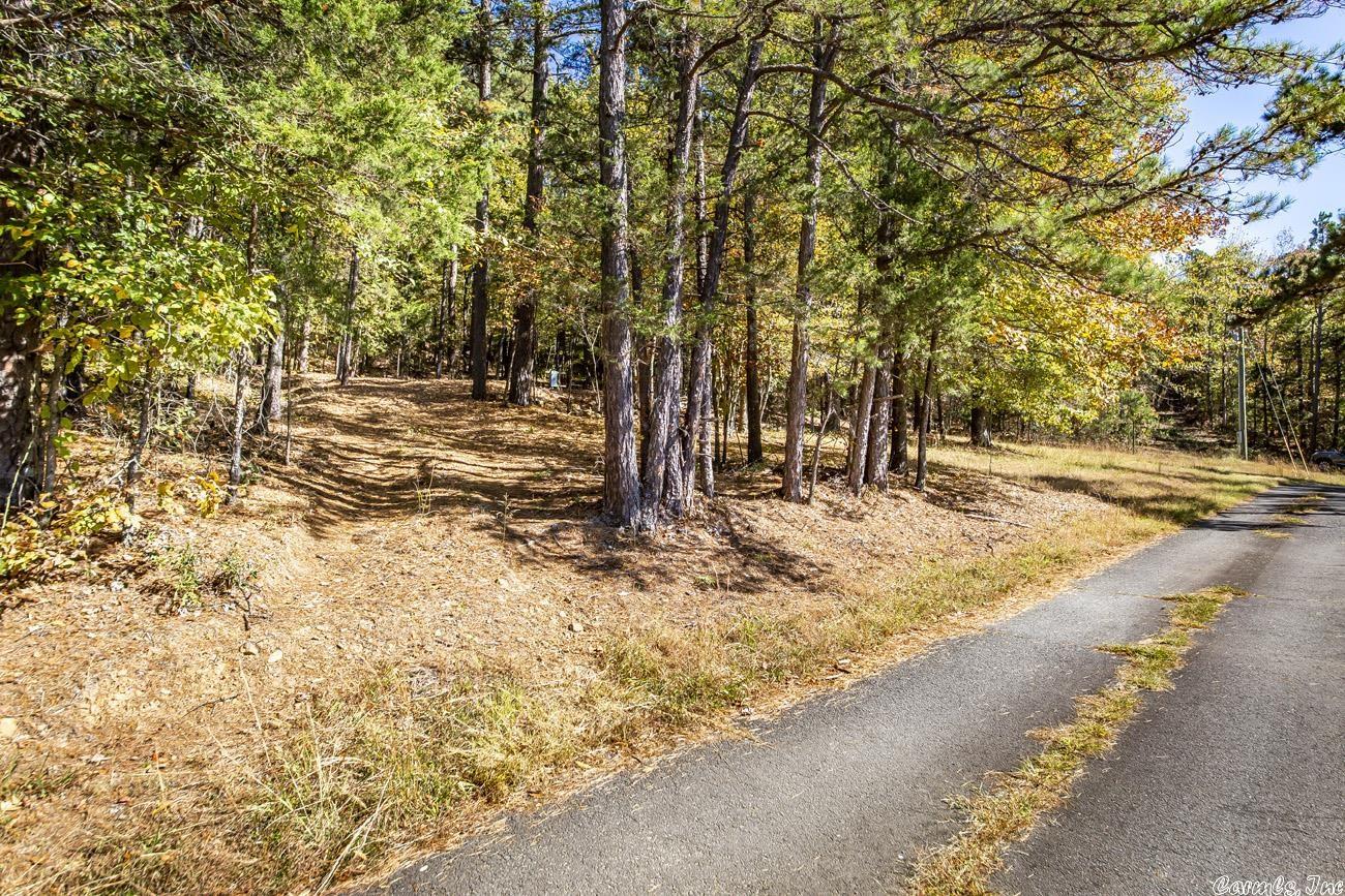 Shirley Original - Land