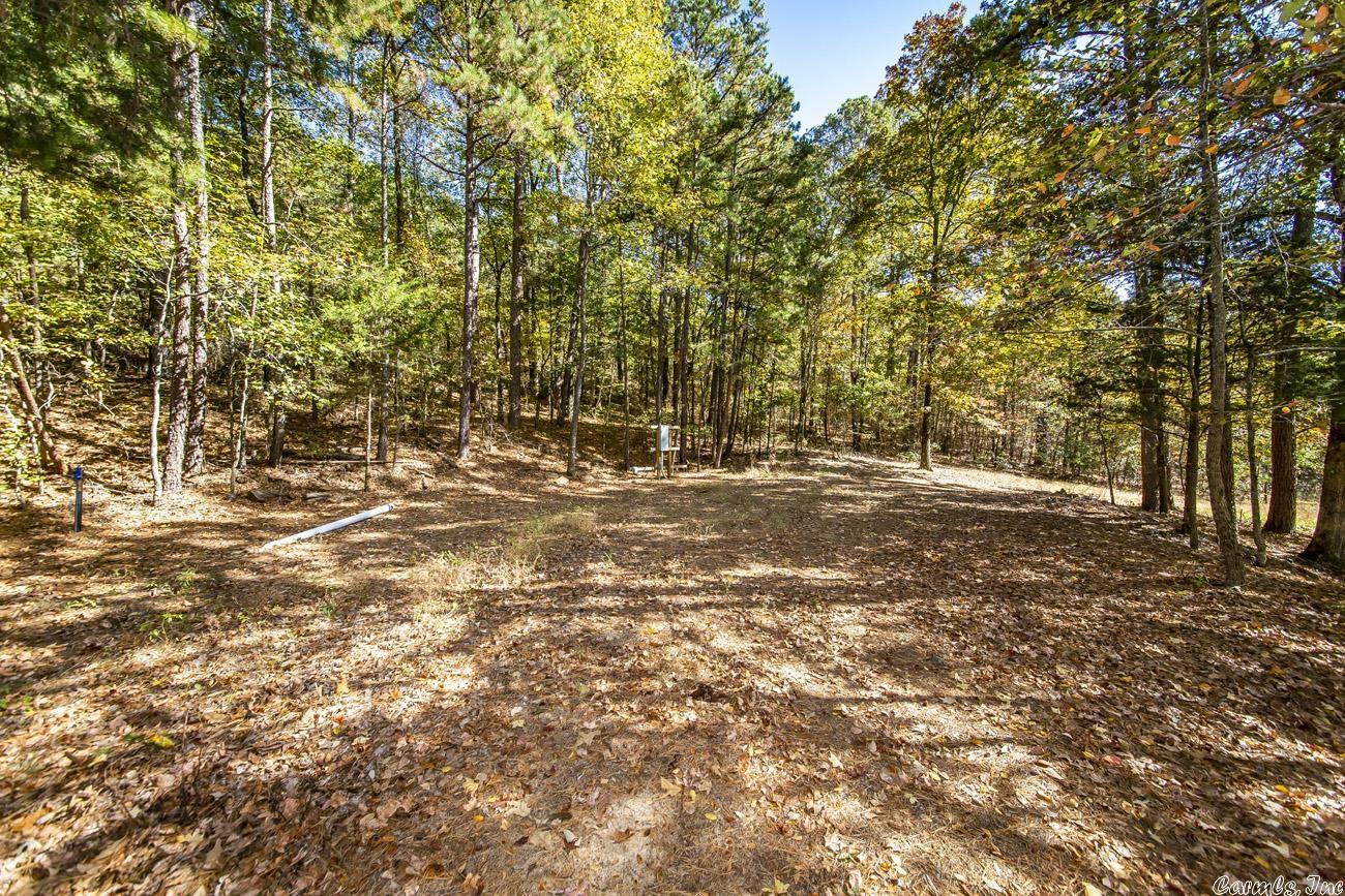 Shirley Original - Land