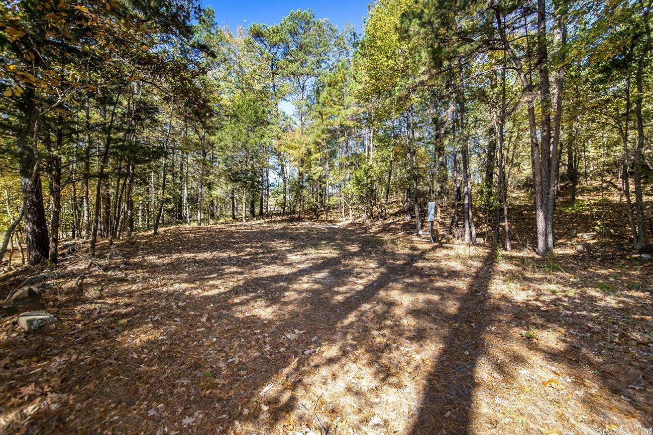 Shirley Original - Land