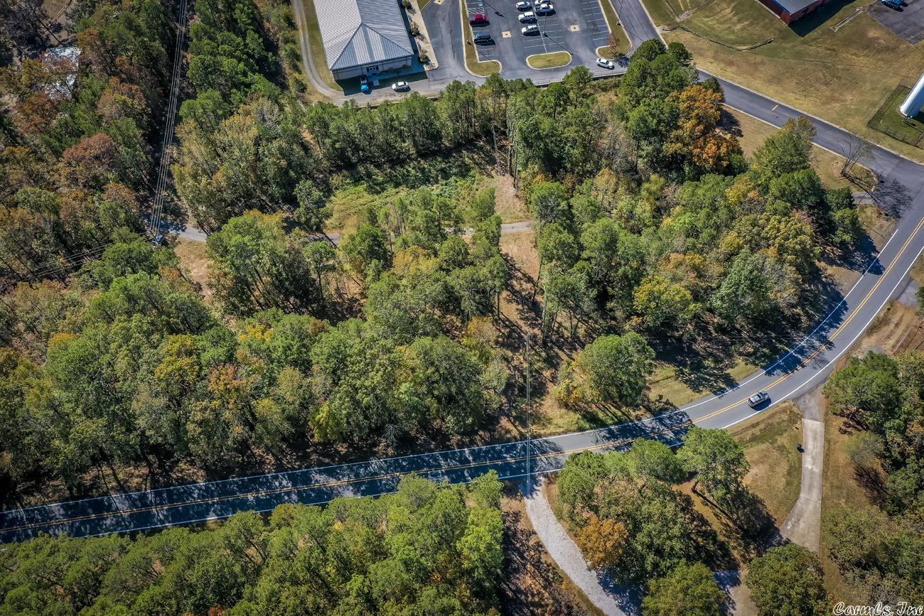 Shirley Original - Land