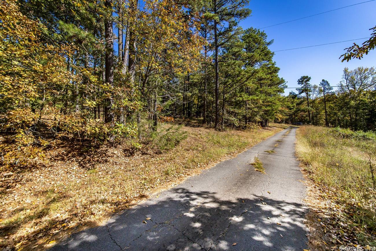 Shirley Original - Land