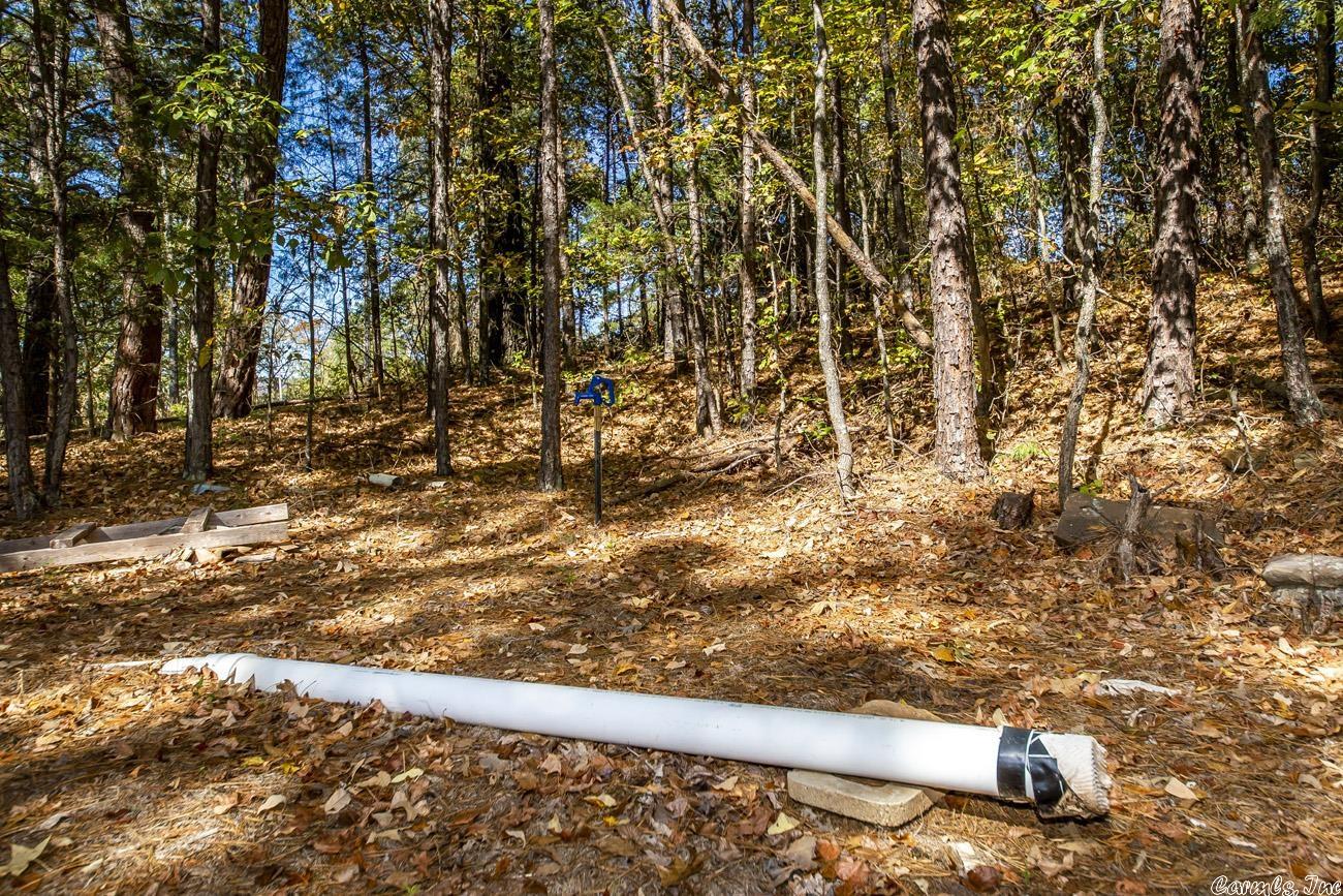 Shirley Original - Land