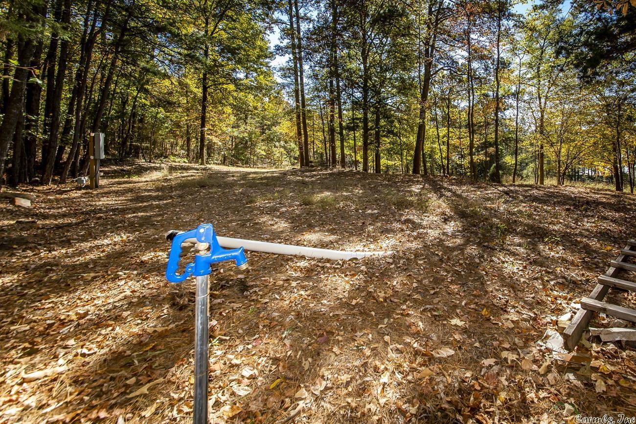 Shirley Original - Land