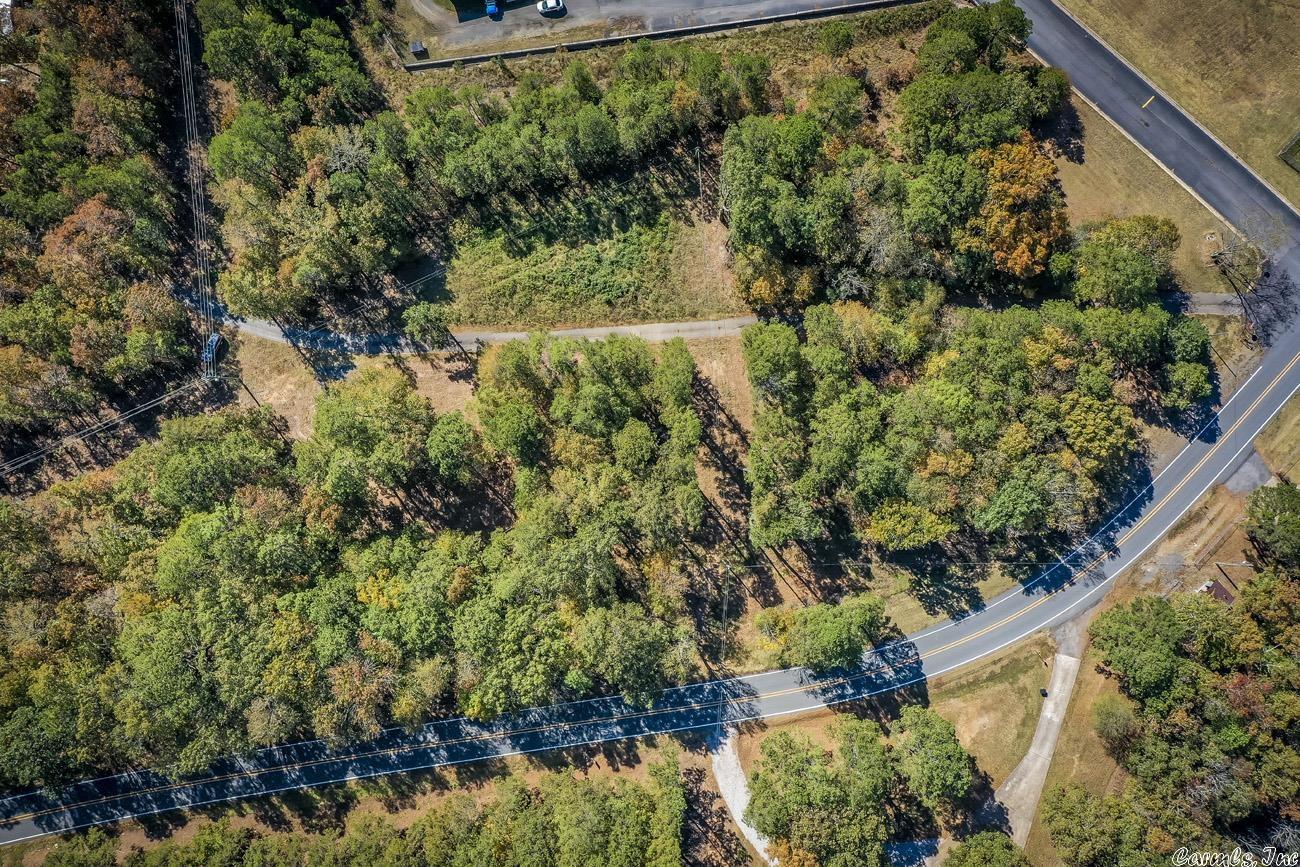 Shirley Original - Land