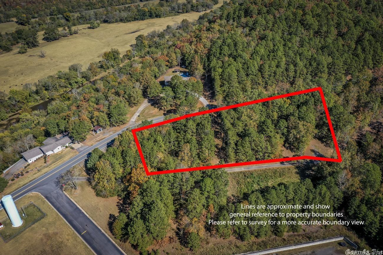 Shirley Original - Land