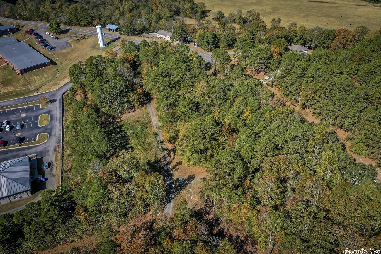 Shirley Original - Land