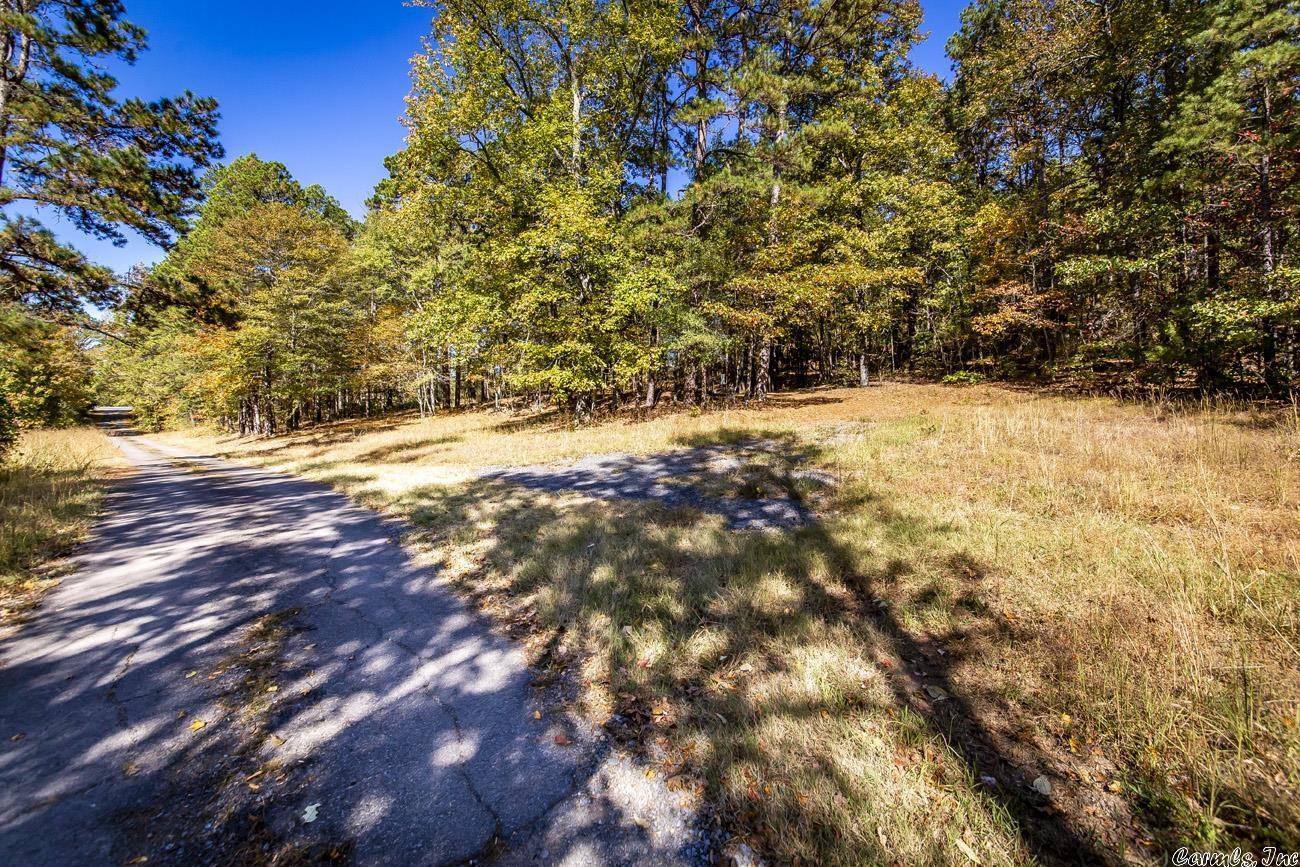 Shirley Original - Land