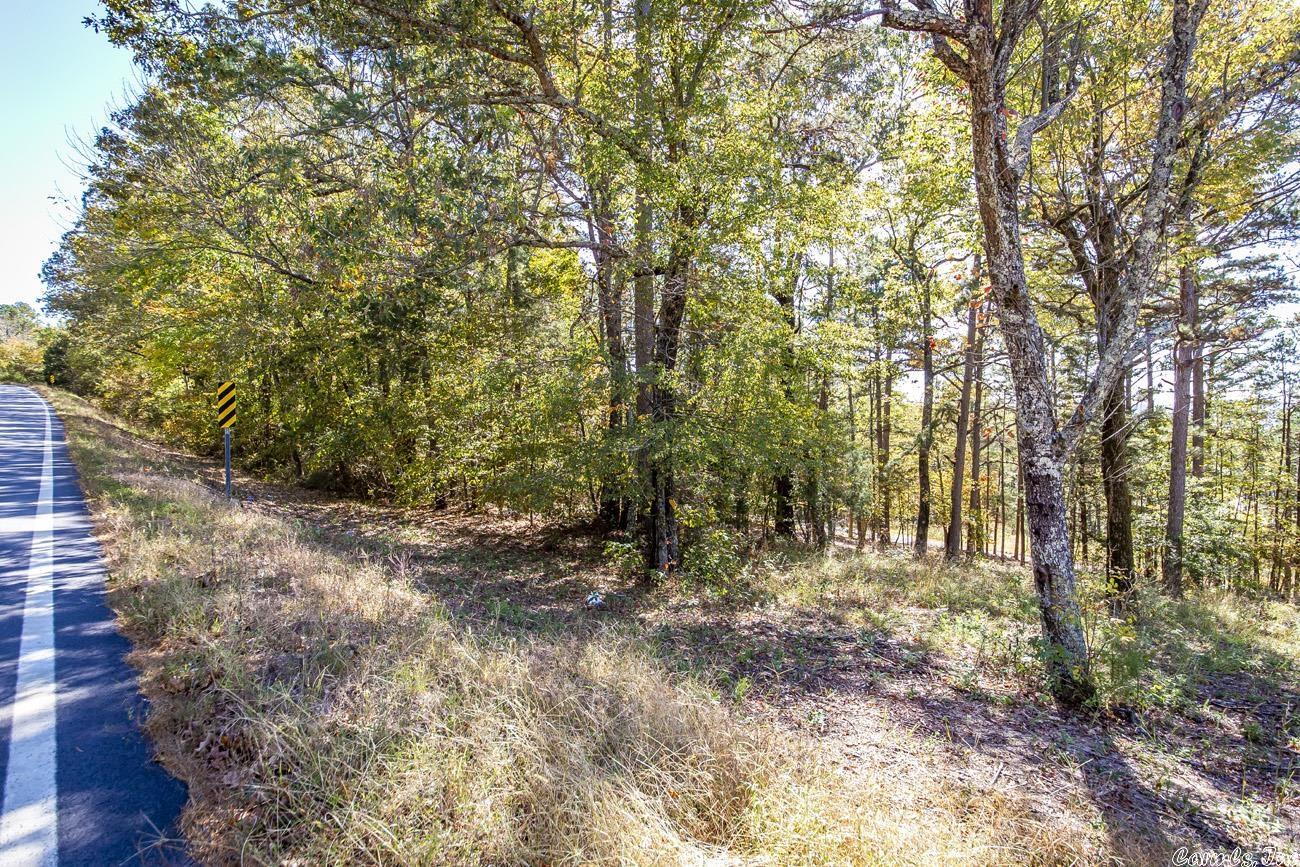 Shirley Original - Land